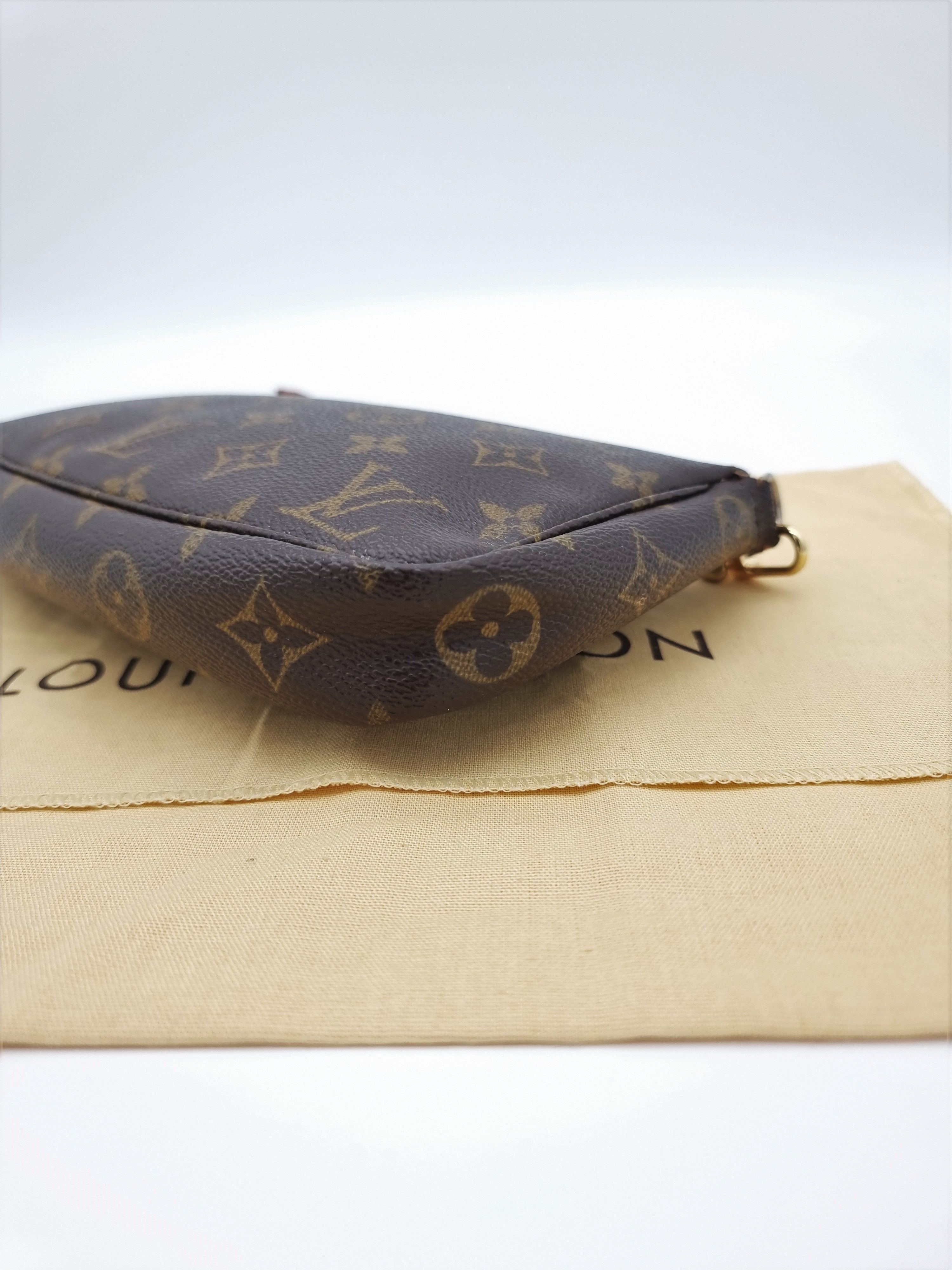 Louis Vuitton Pochette Accessoires