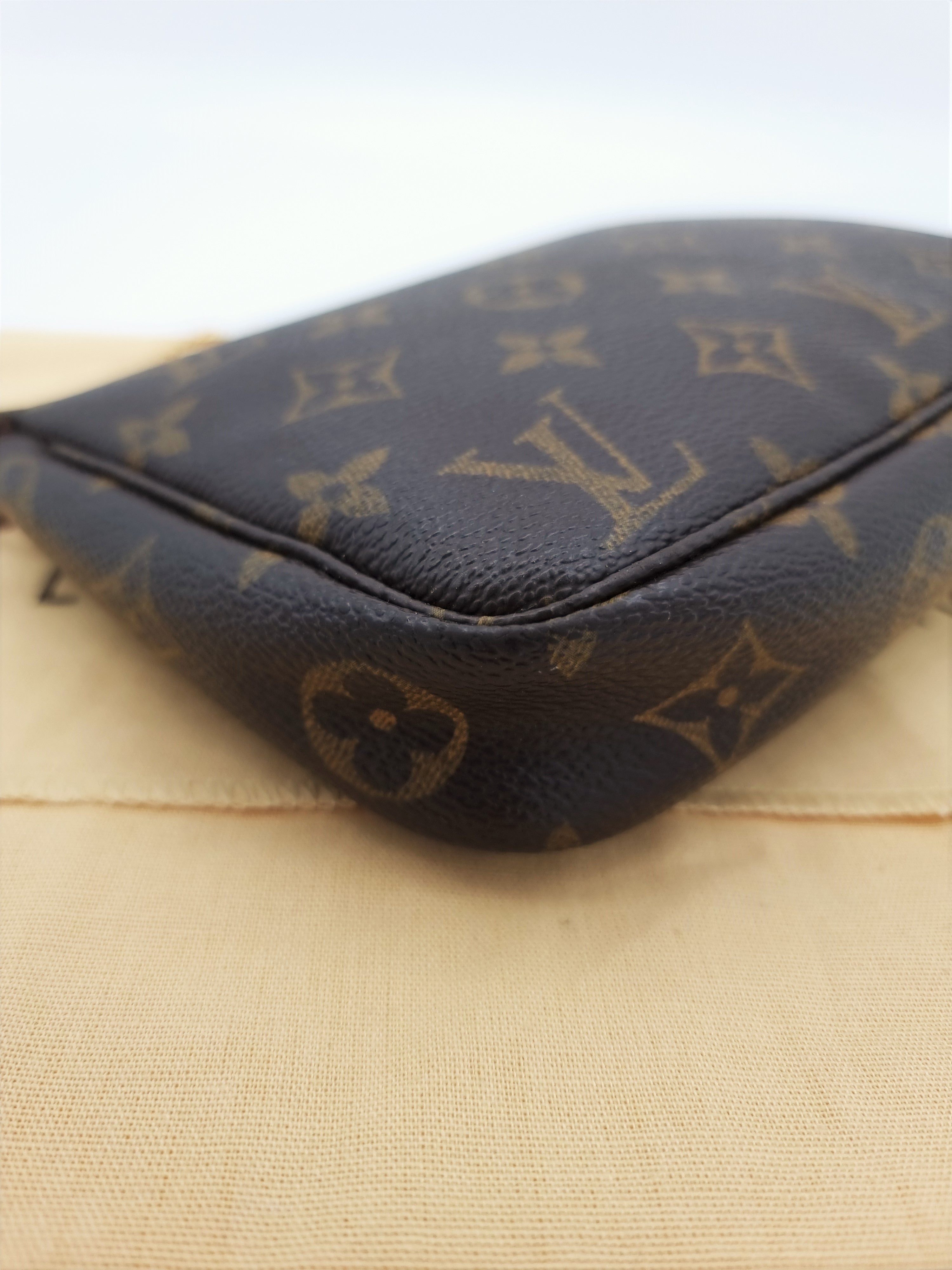 Louis Vuitton Pochette Accessoires