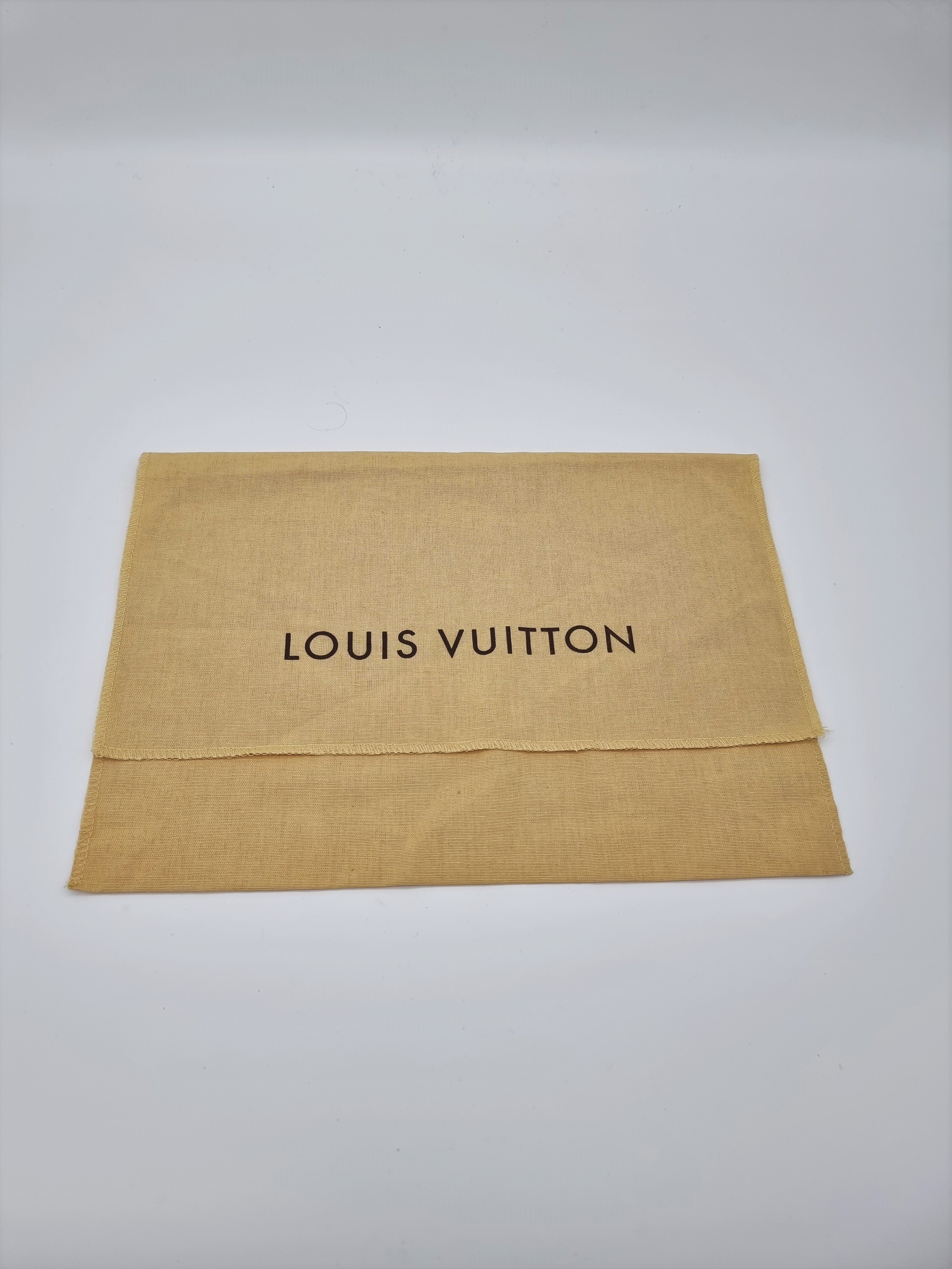 Louis Vuitton Pochette Accessoires