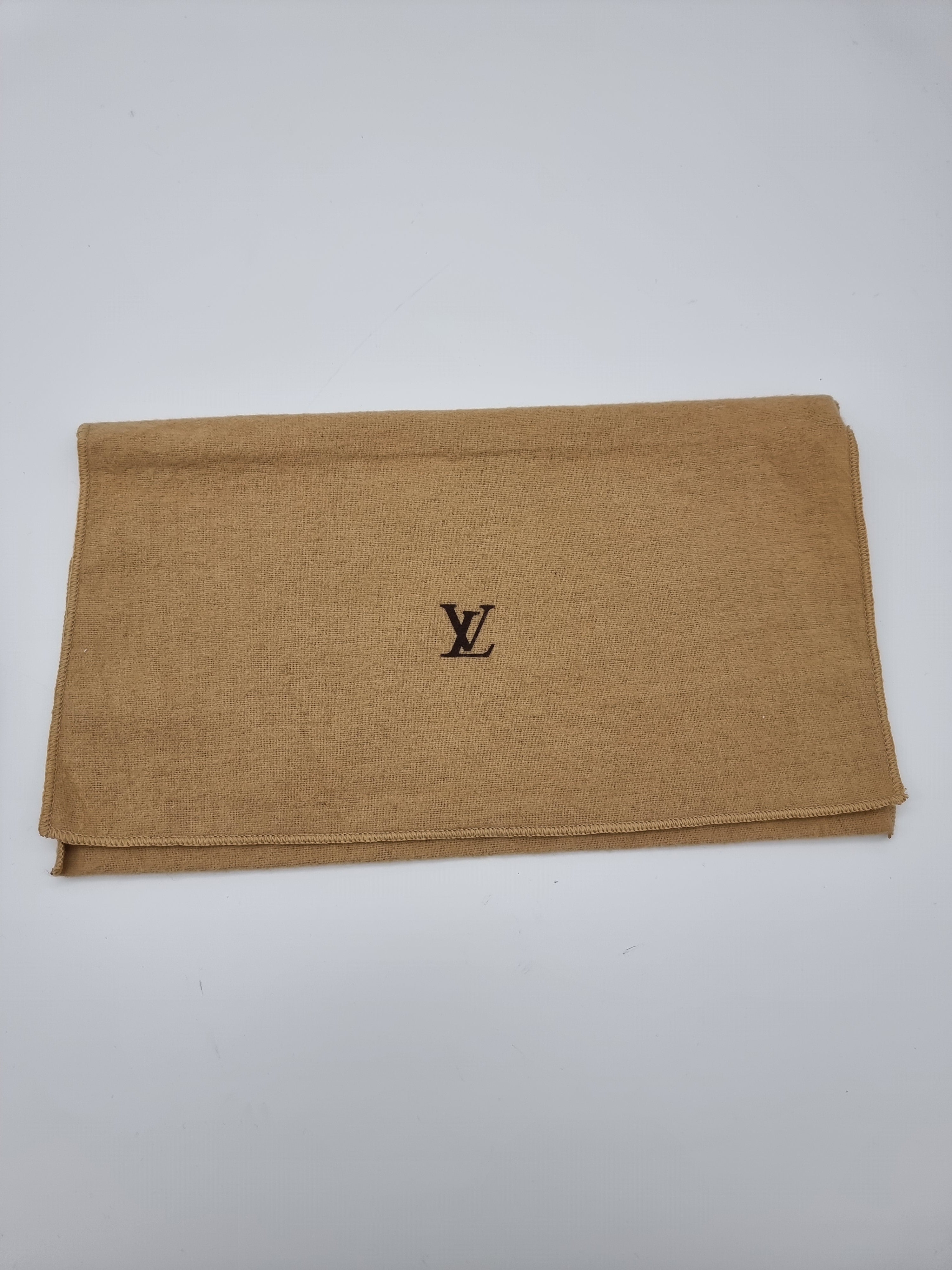 Louis Vuitton Pochette Accessoires