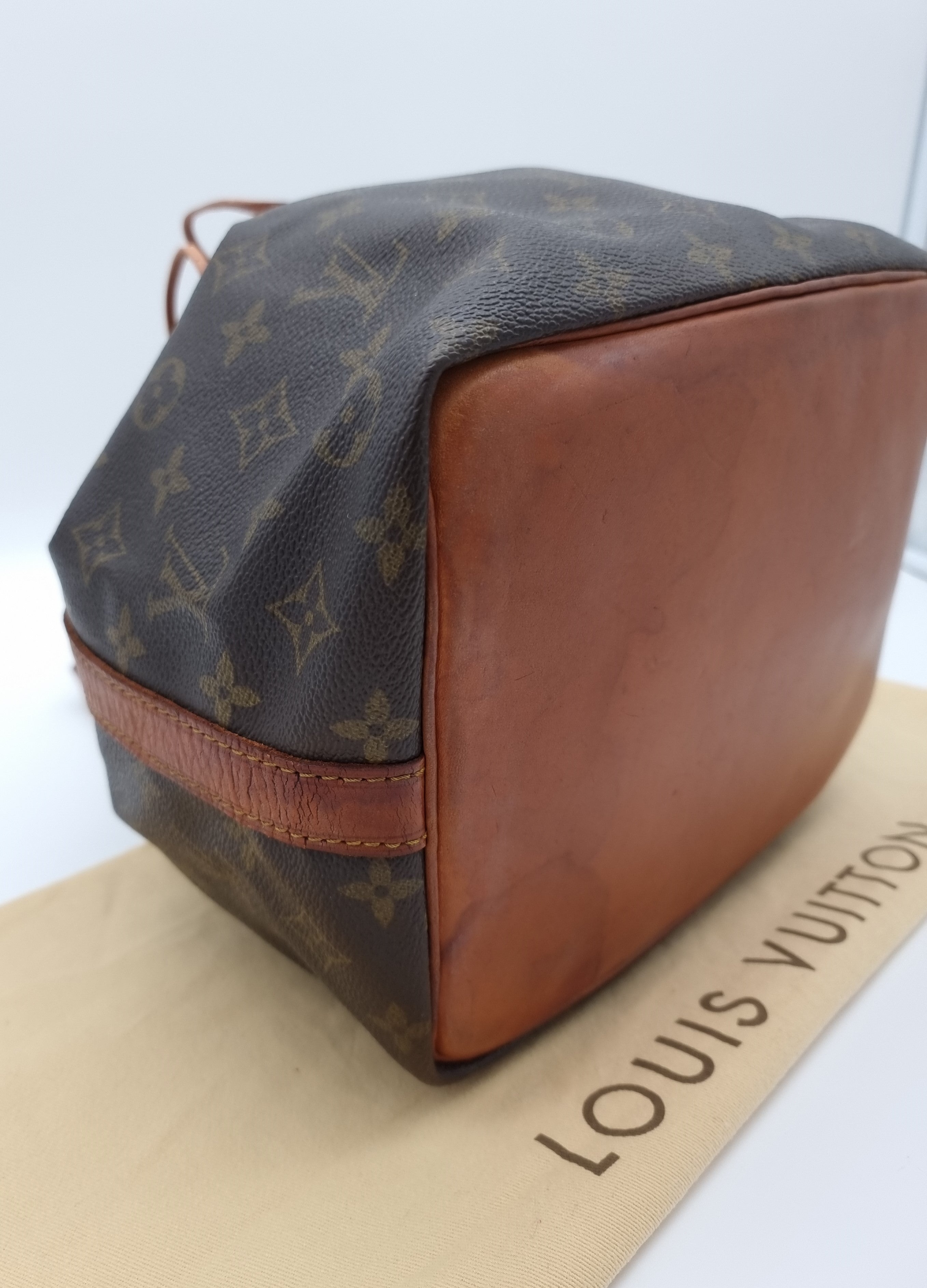 Louis Vuitton Petit Noe