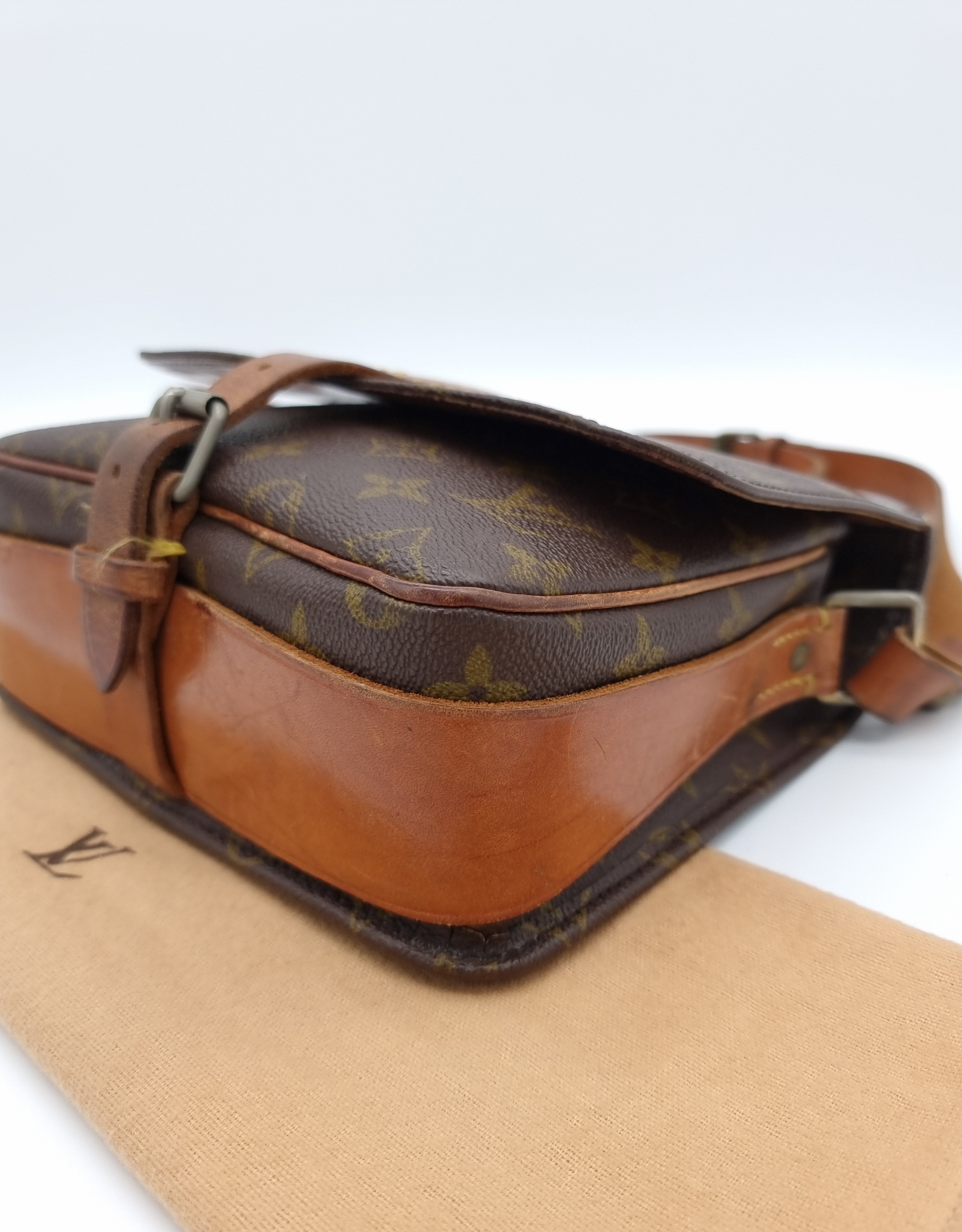 Louis Vuitton Cartouchiere MM