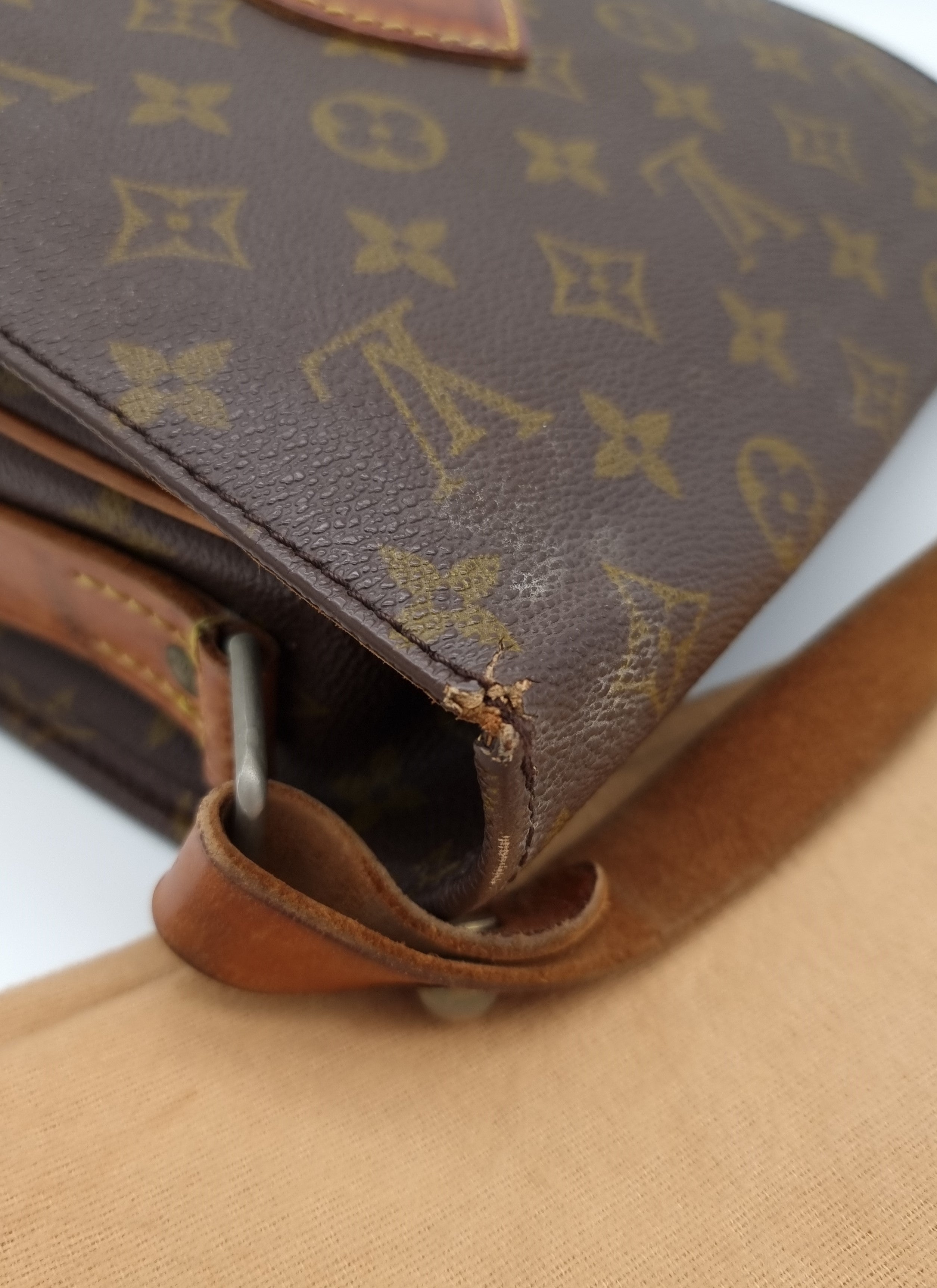 Louis Vuitton Cartouchiere MM