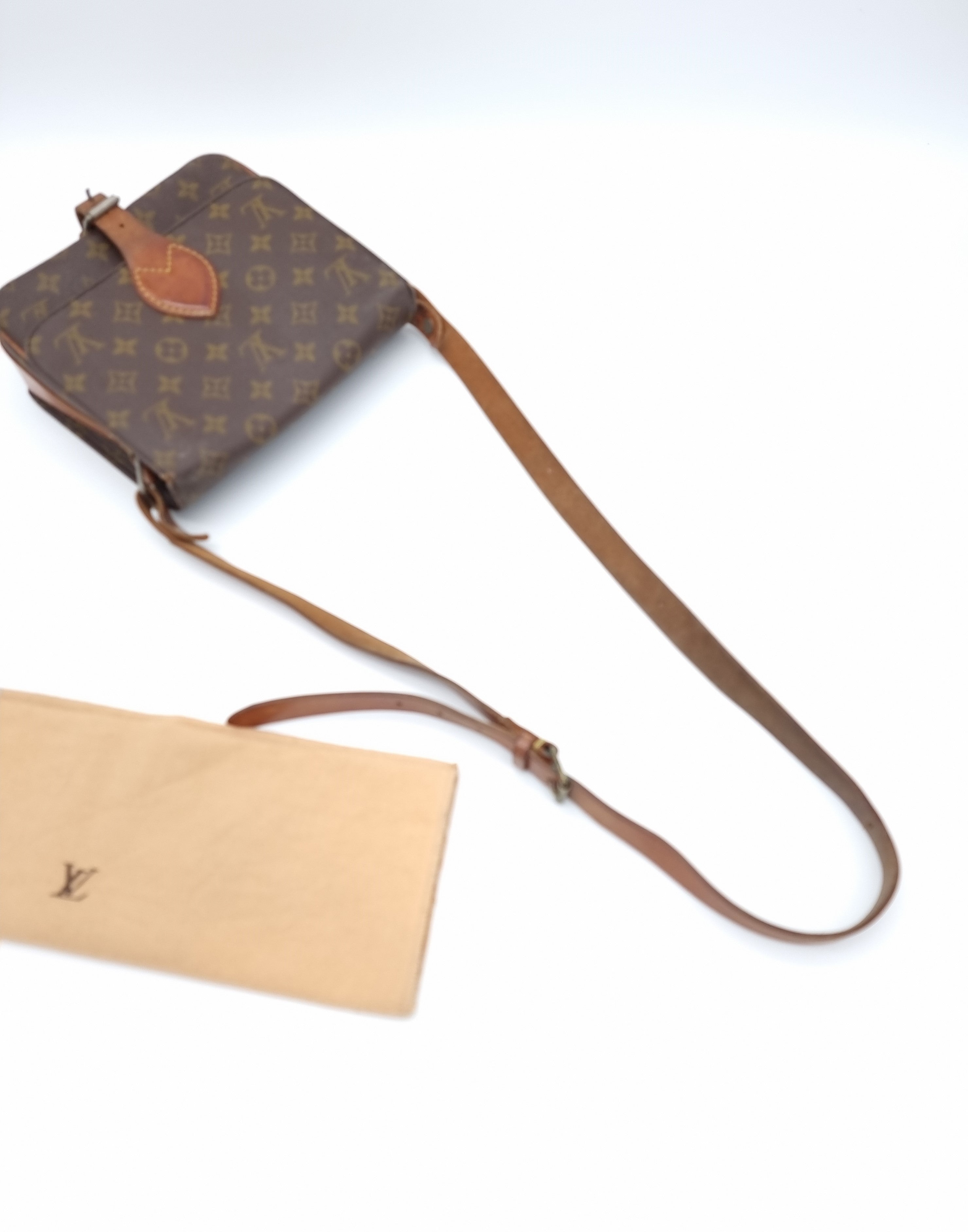 Louis Vuitton Cartouchiere MM