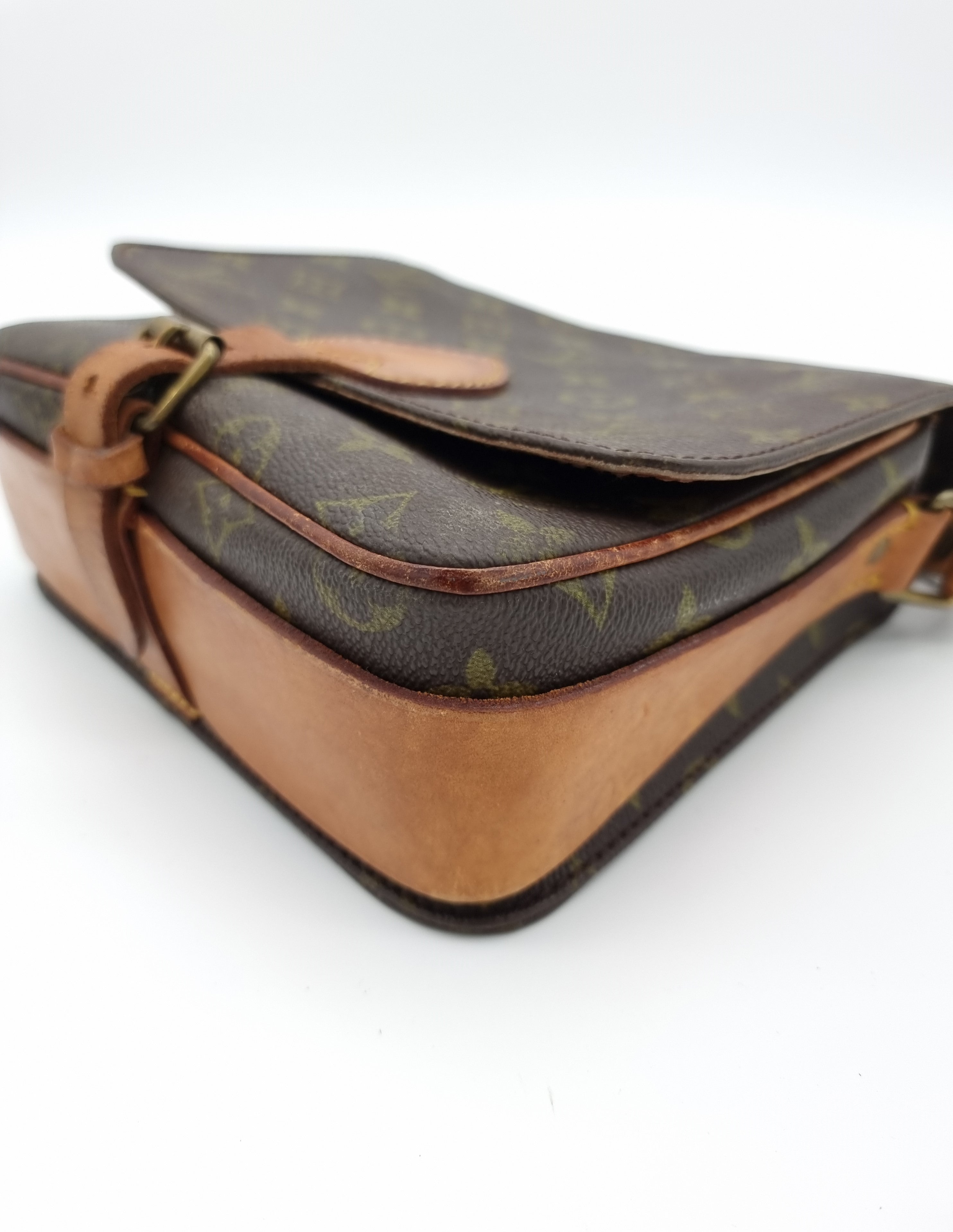 Louis Vuitton Cartouchiere MM