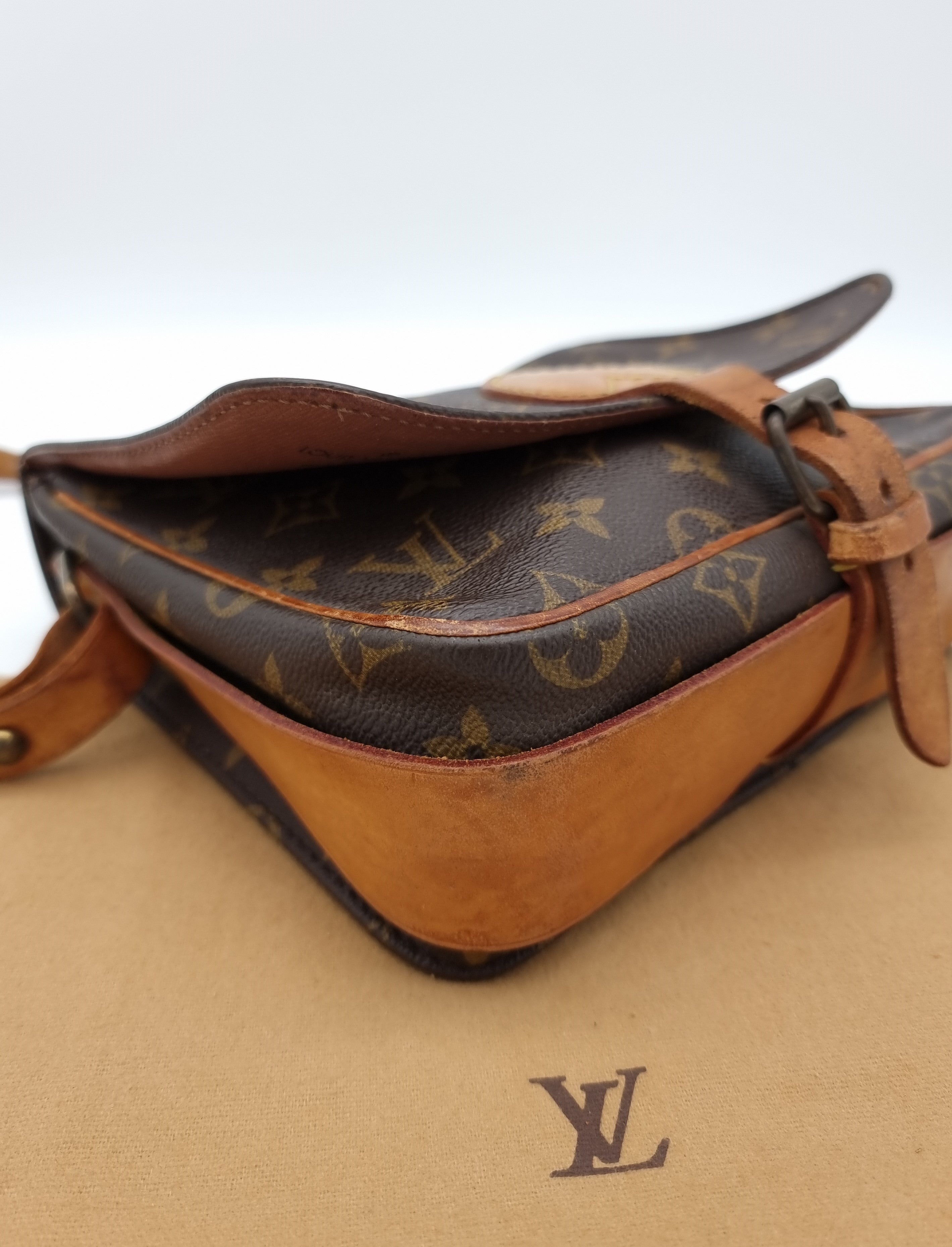 Louis Vuitton Cartouchiere MM