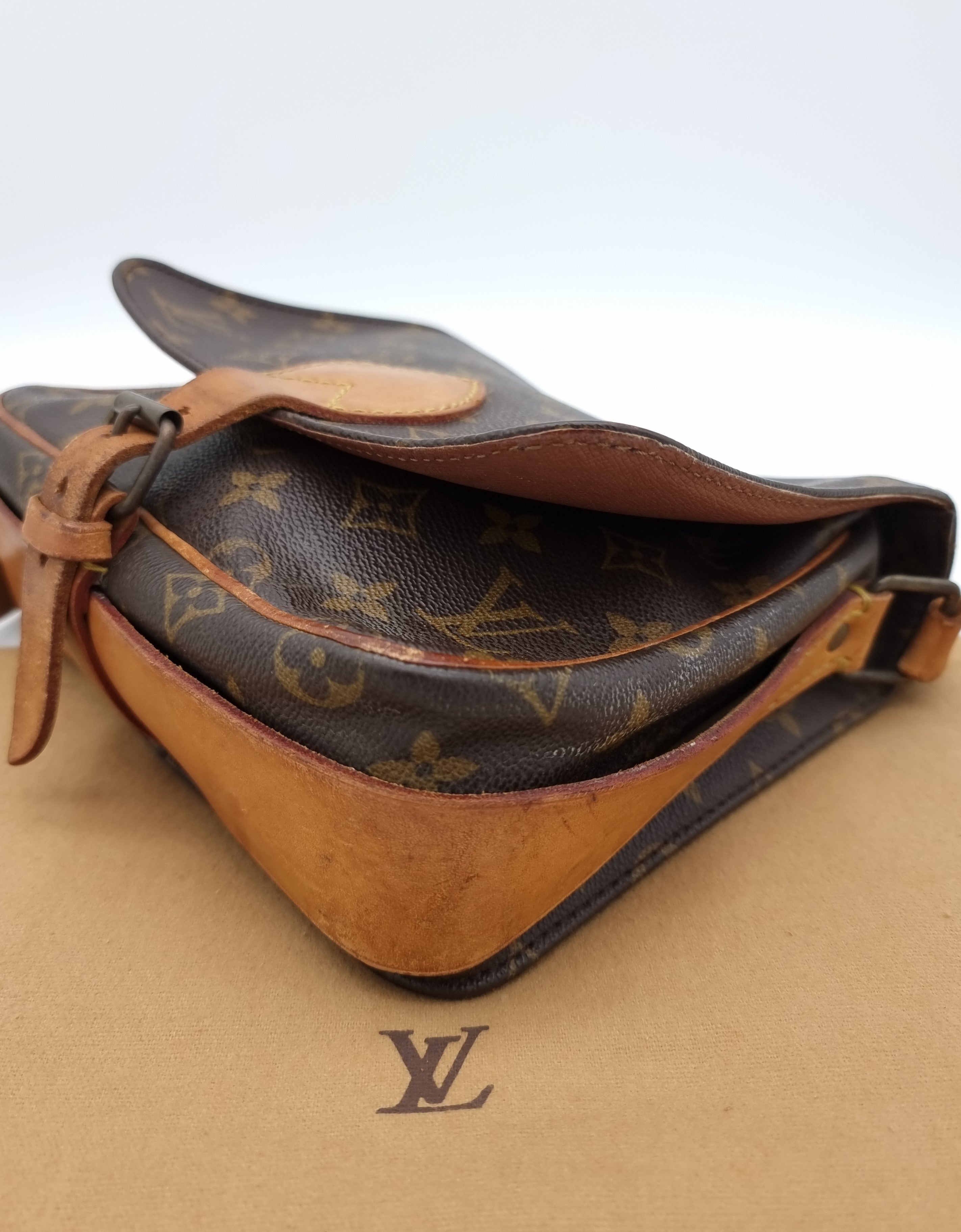 Louis Vuitton Cartouchiere MM