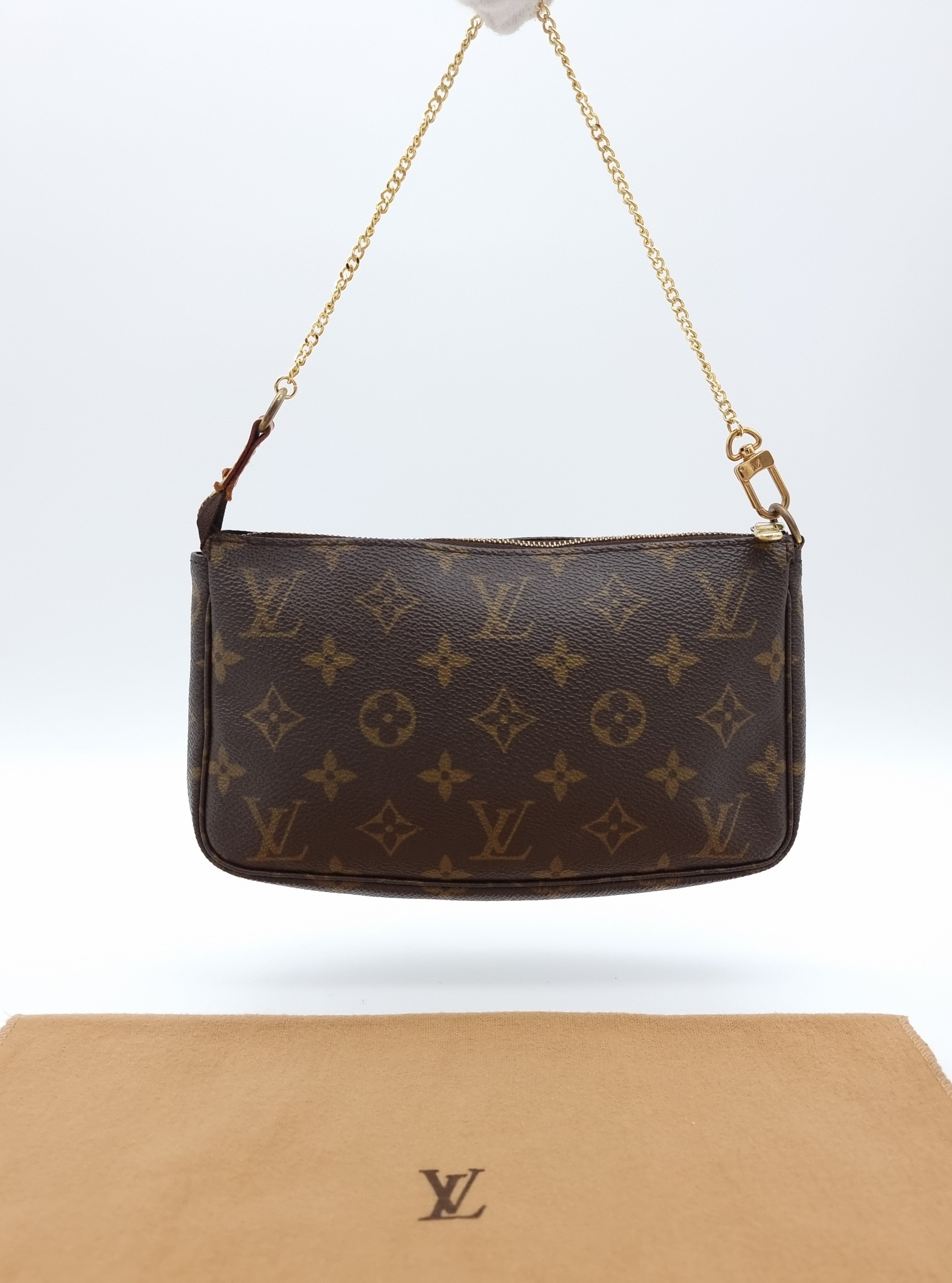 Louis Vuitton Pochette Accessoires