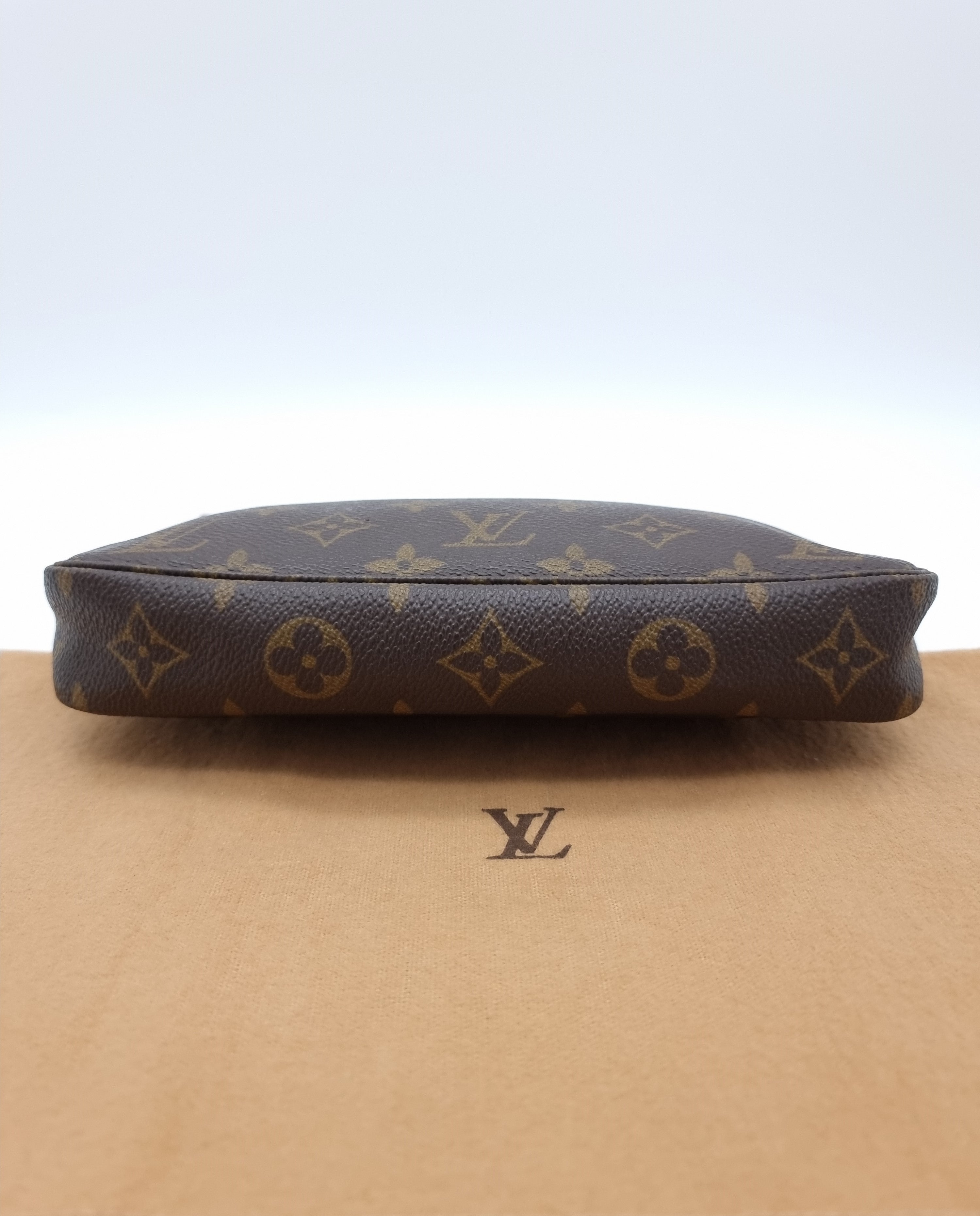 Louis Vuitton Pochette Accessoires