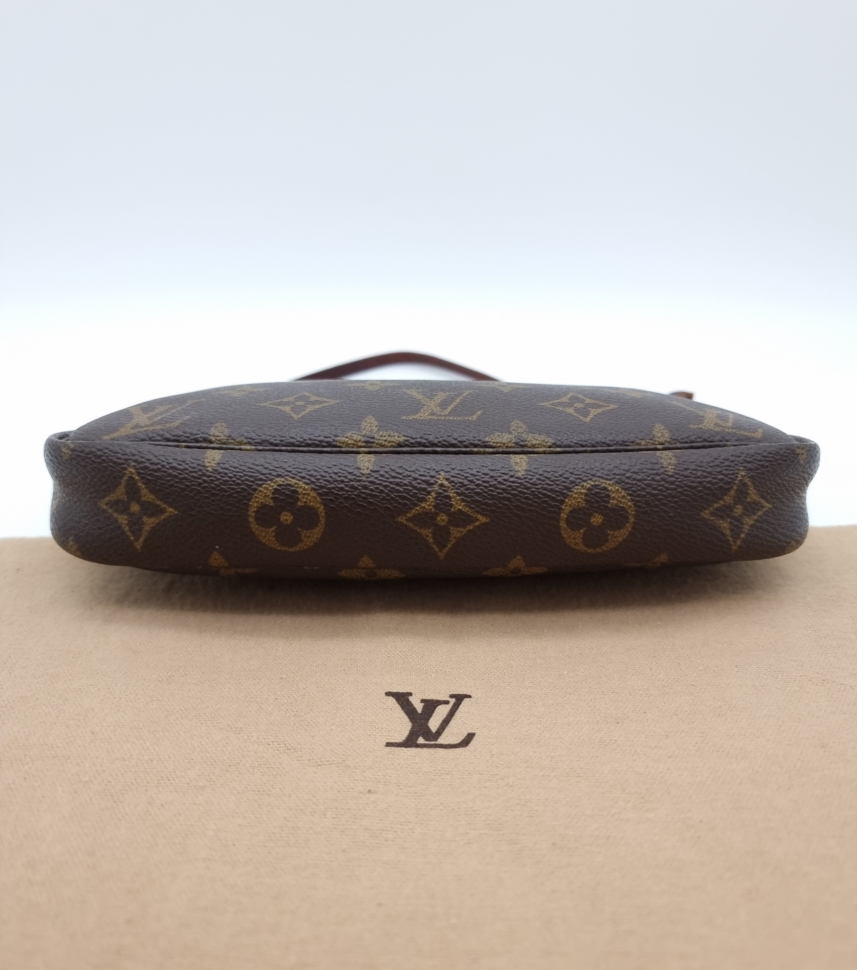 Louis Vuitton Pochette Accessoires