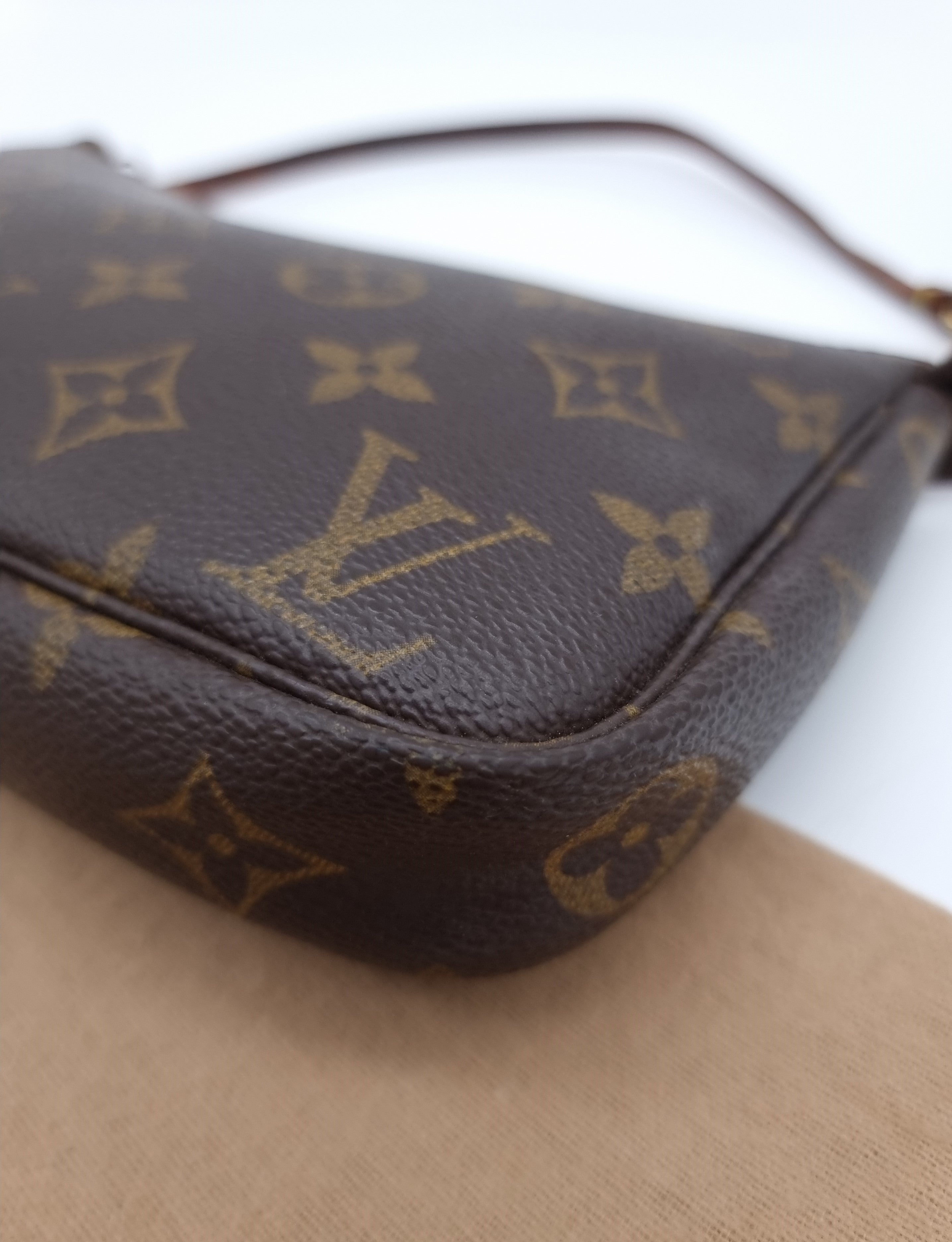 Louis Vuitton Pochette Accessoires