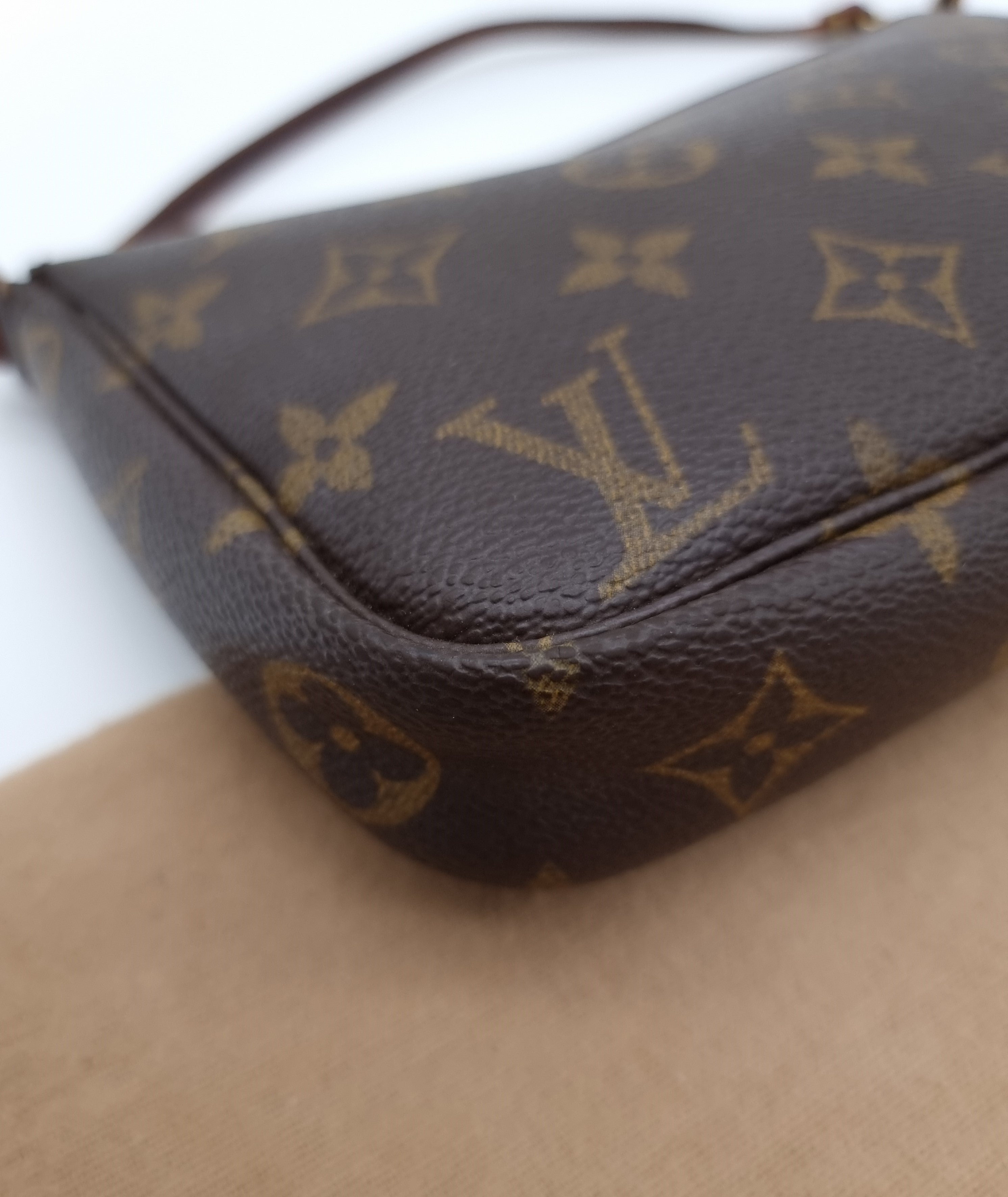 Louis Vuitton Pochette Accessoires