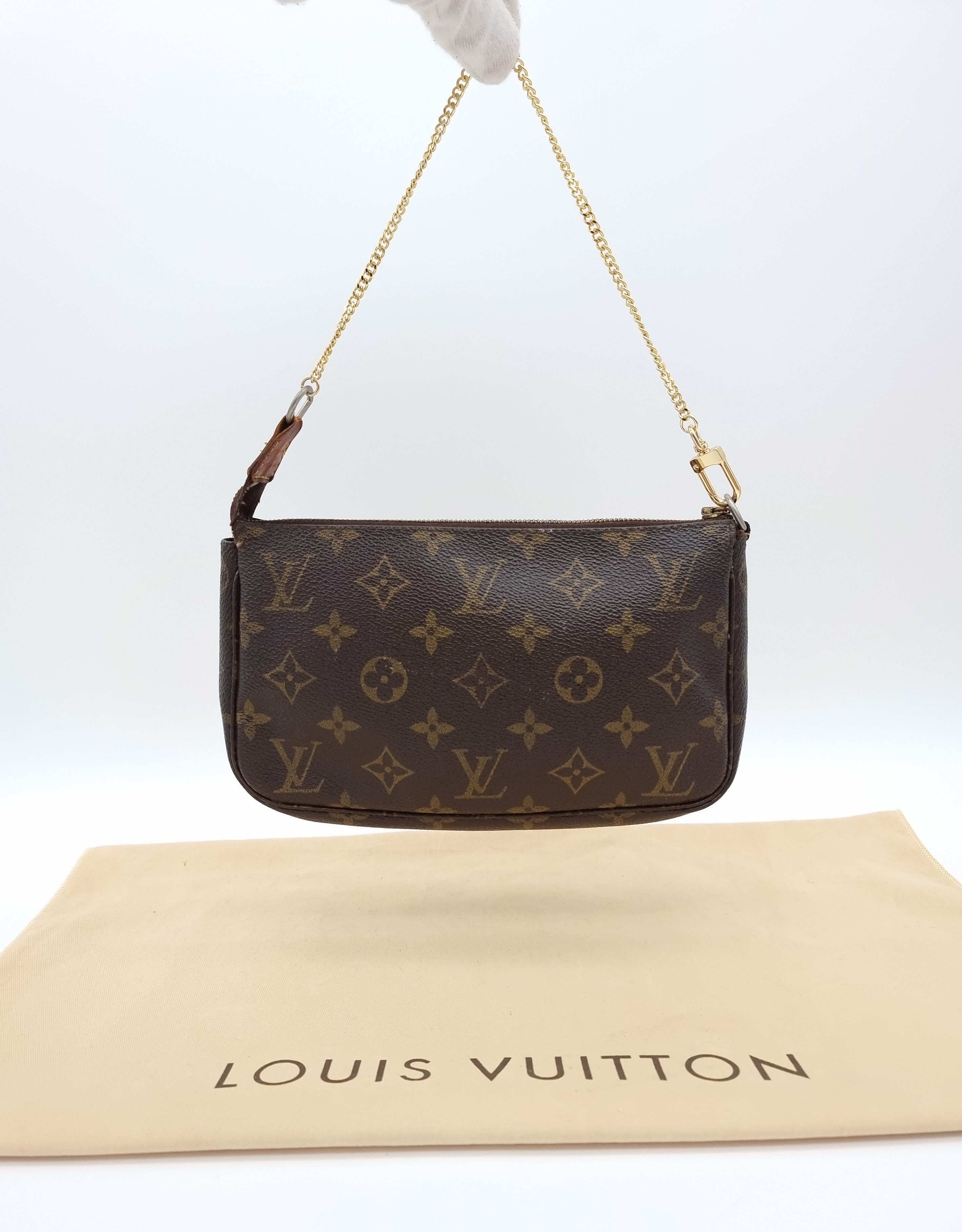 Louis Vuitton Pochette Accessoires