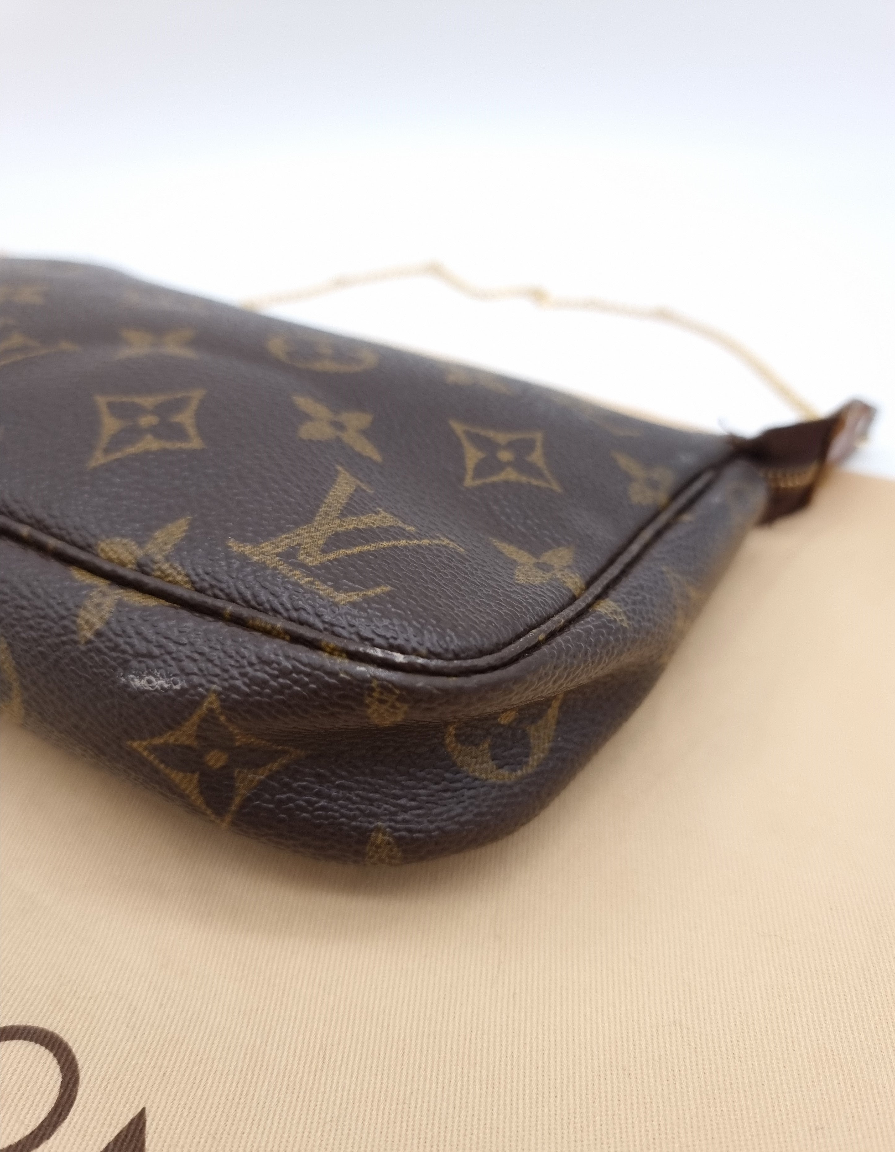 Louis Vuitton Pochette Accessoires