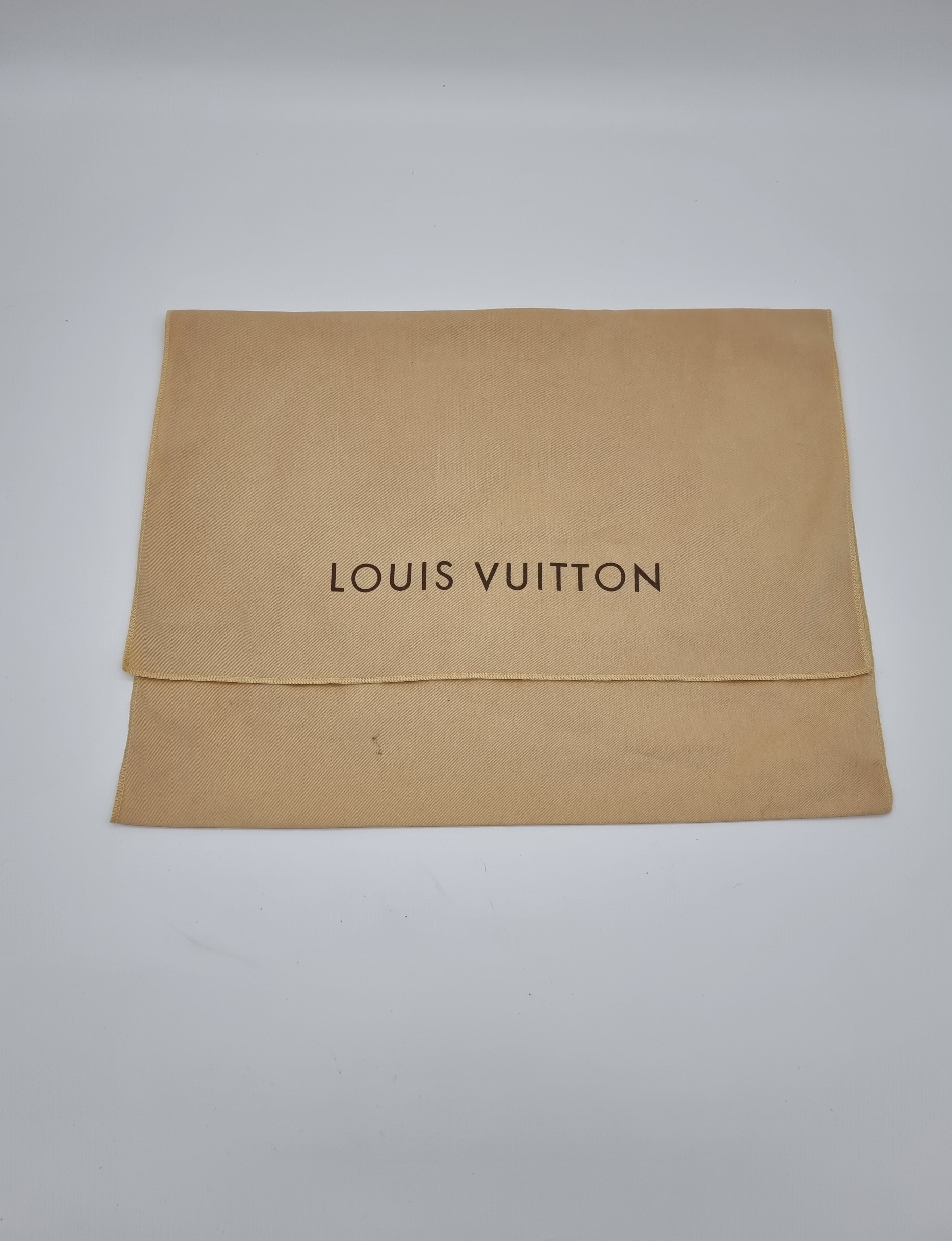 Louis Vuitton Pochette Accessoires