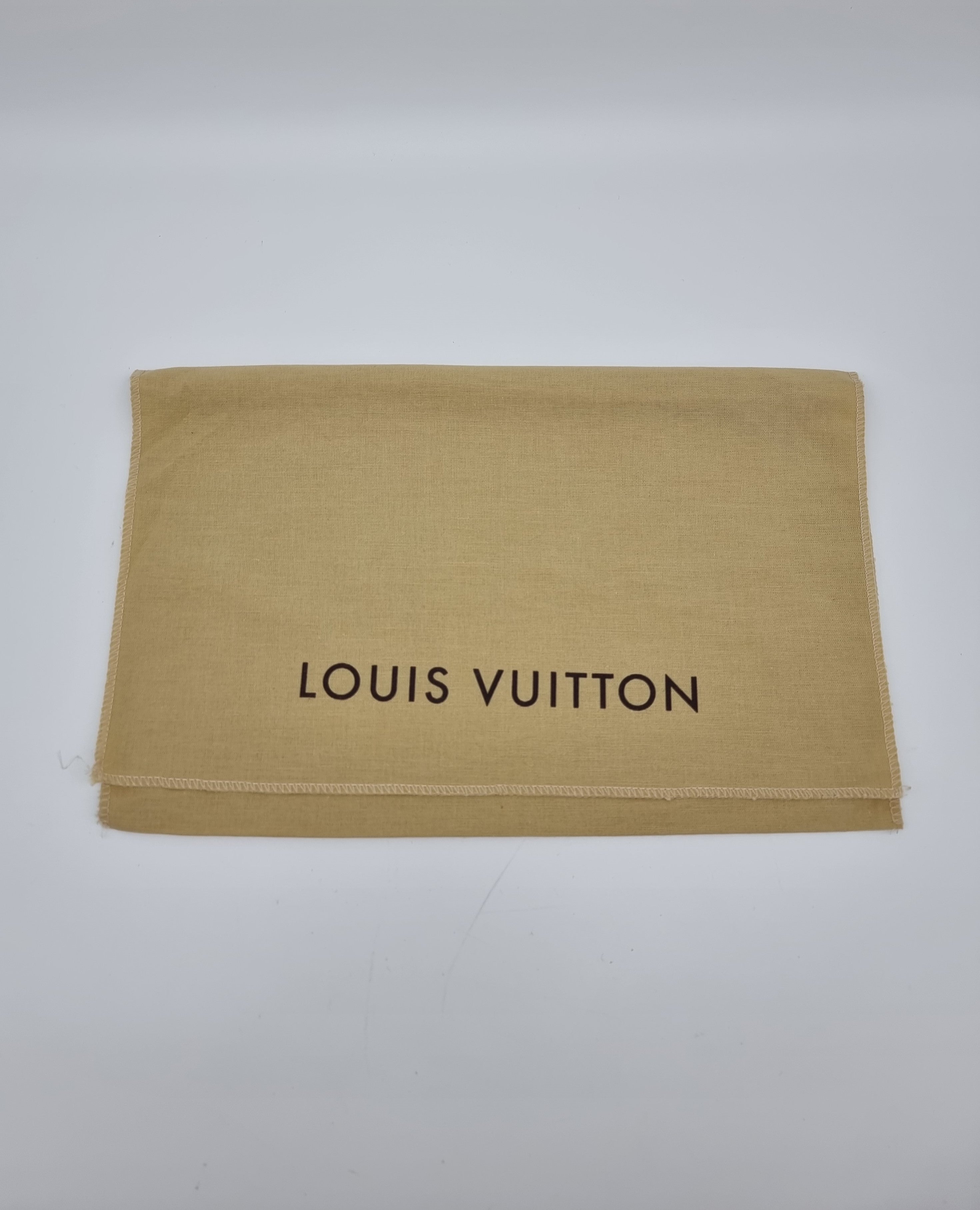 Louis Vuitton Pochette Accessoires