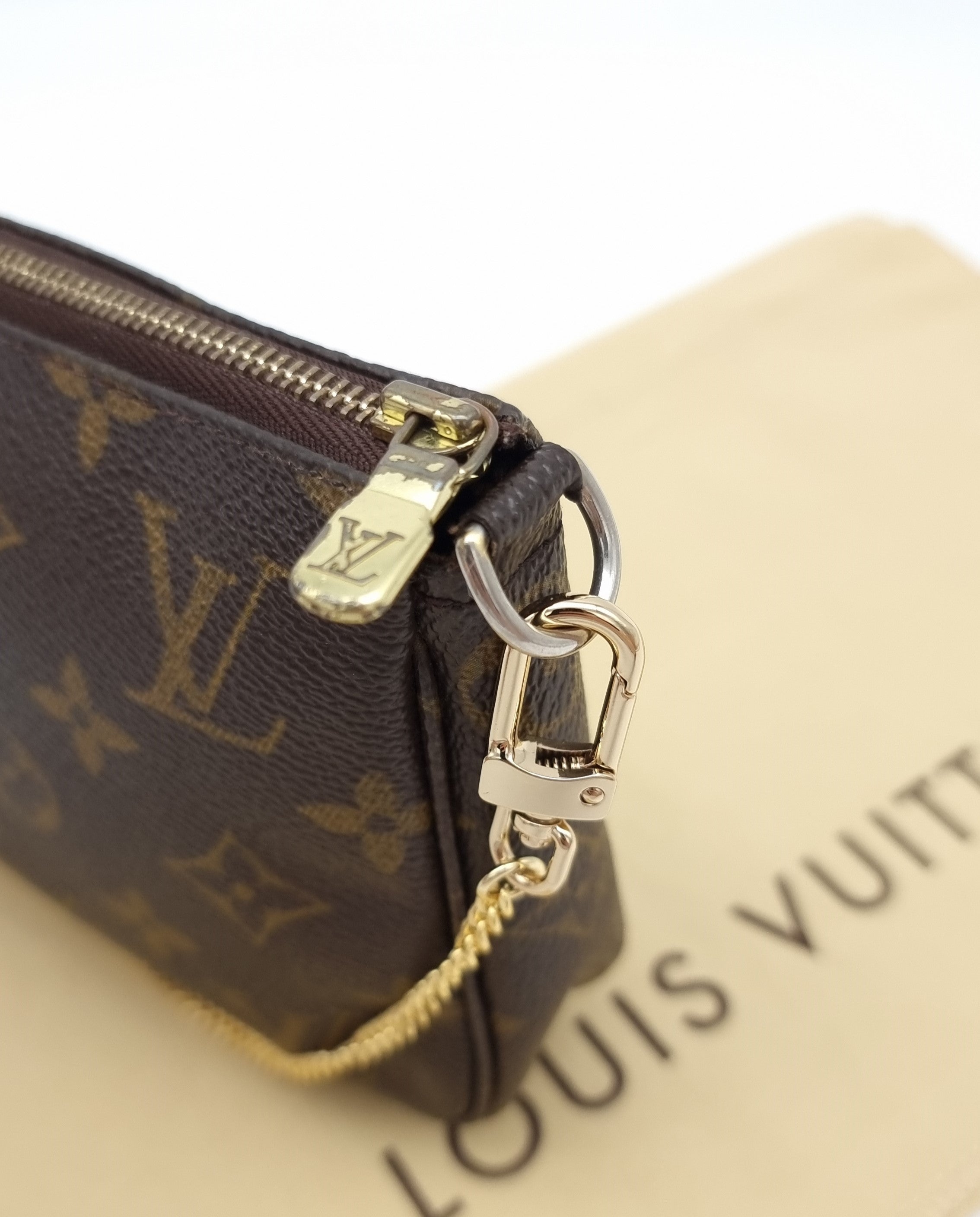 Louis Vuitton Pochette Accessoires