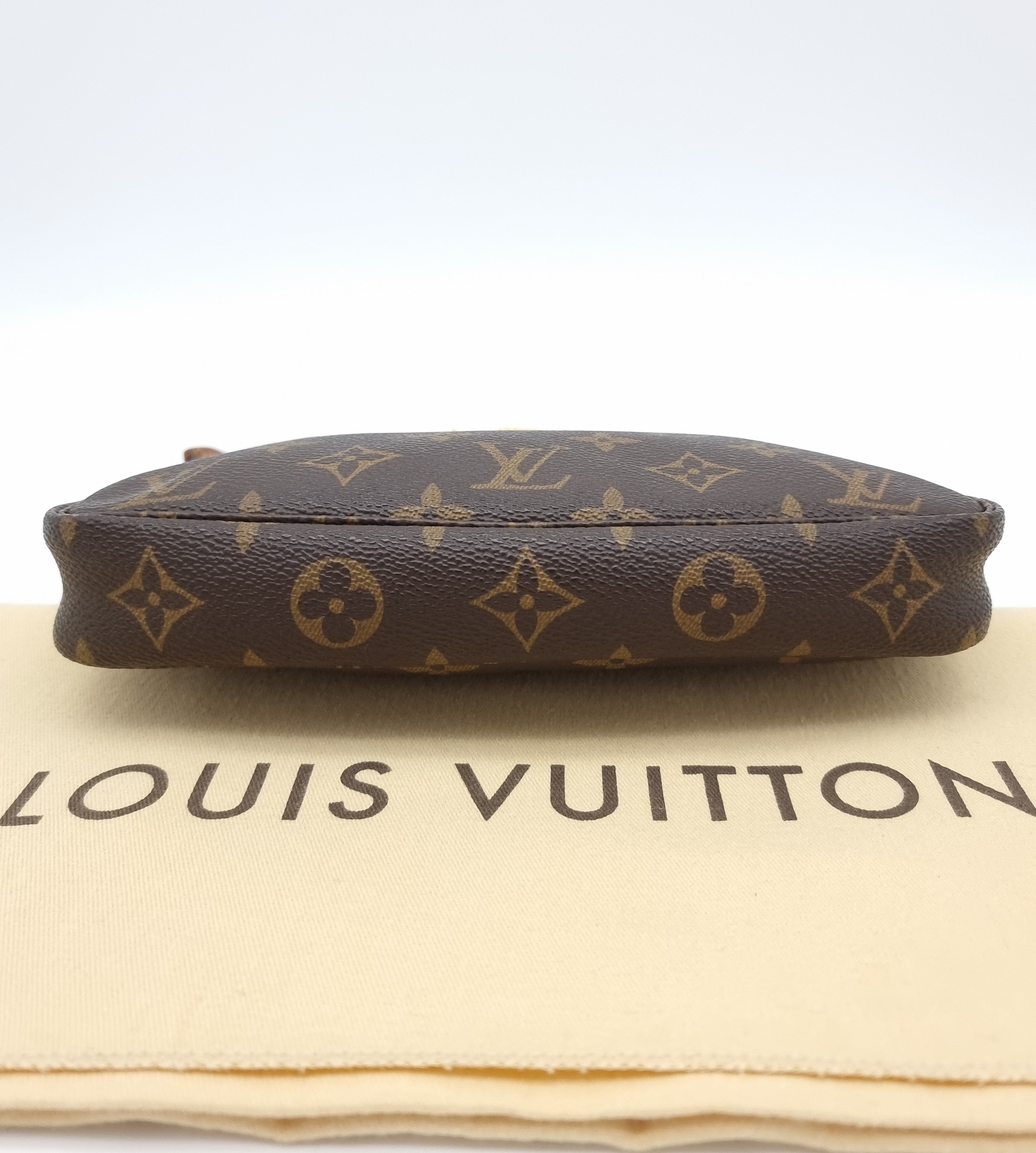 Louis Vuitton Pochette Accessoires