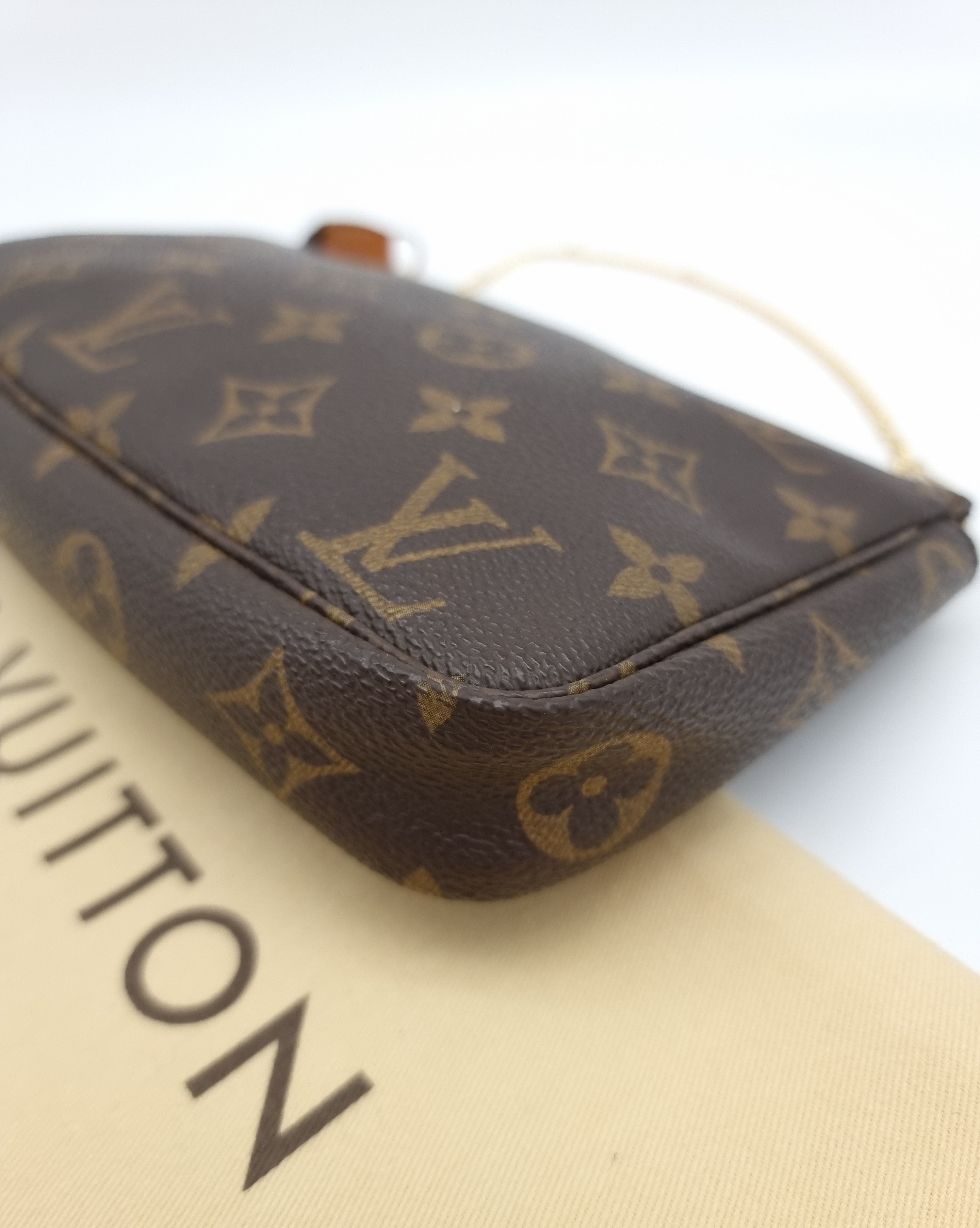 Louis Vuitton Pochette Accessoires