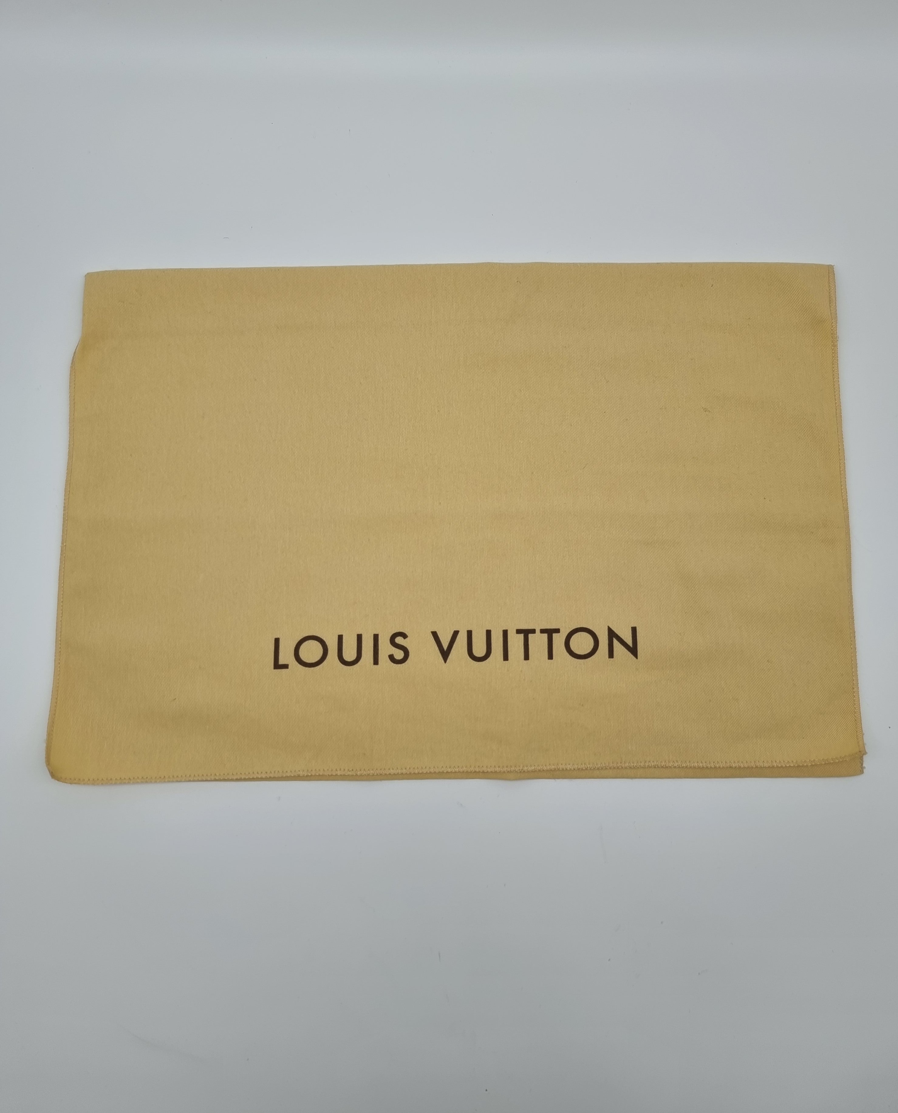 Louis Vuitton Pochette Accessoires