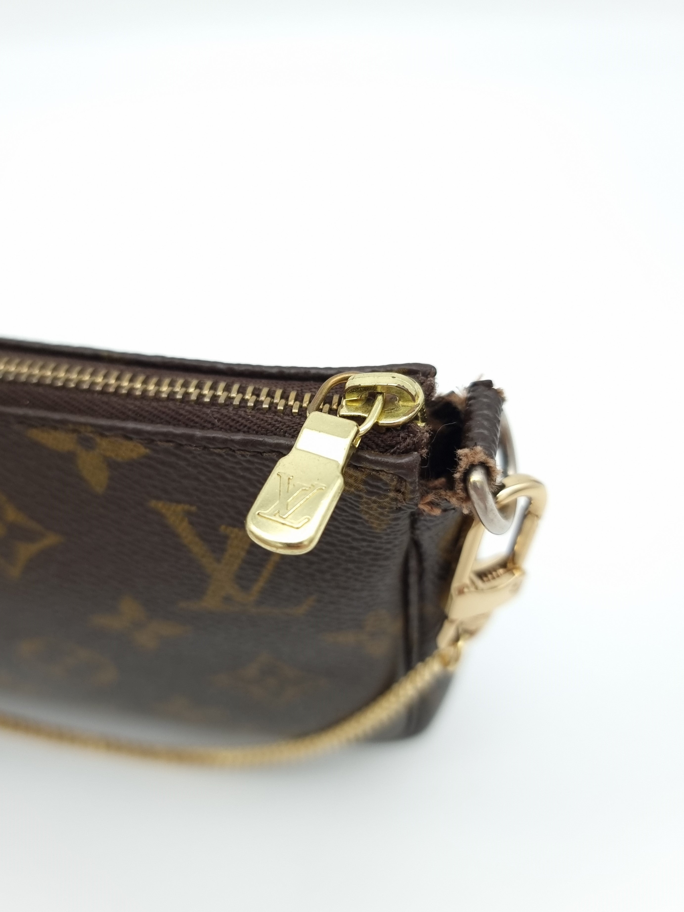 Louis Vuitton Pochette Accessoires