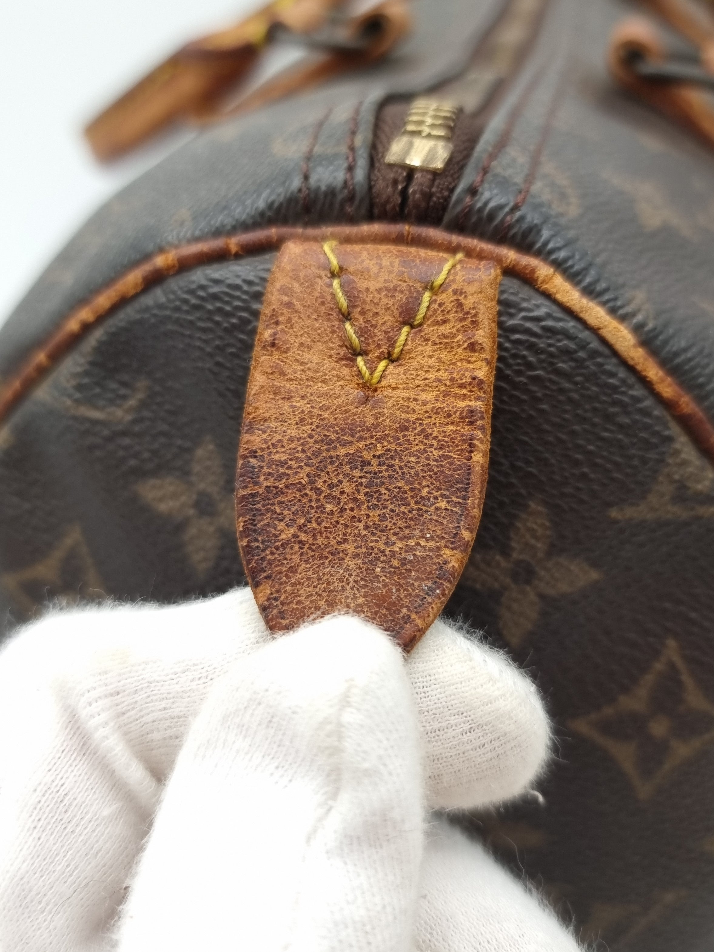 Louis Vuitton Speedy 35