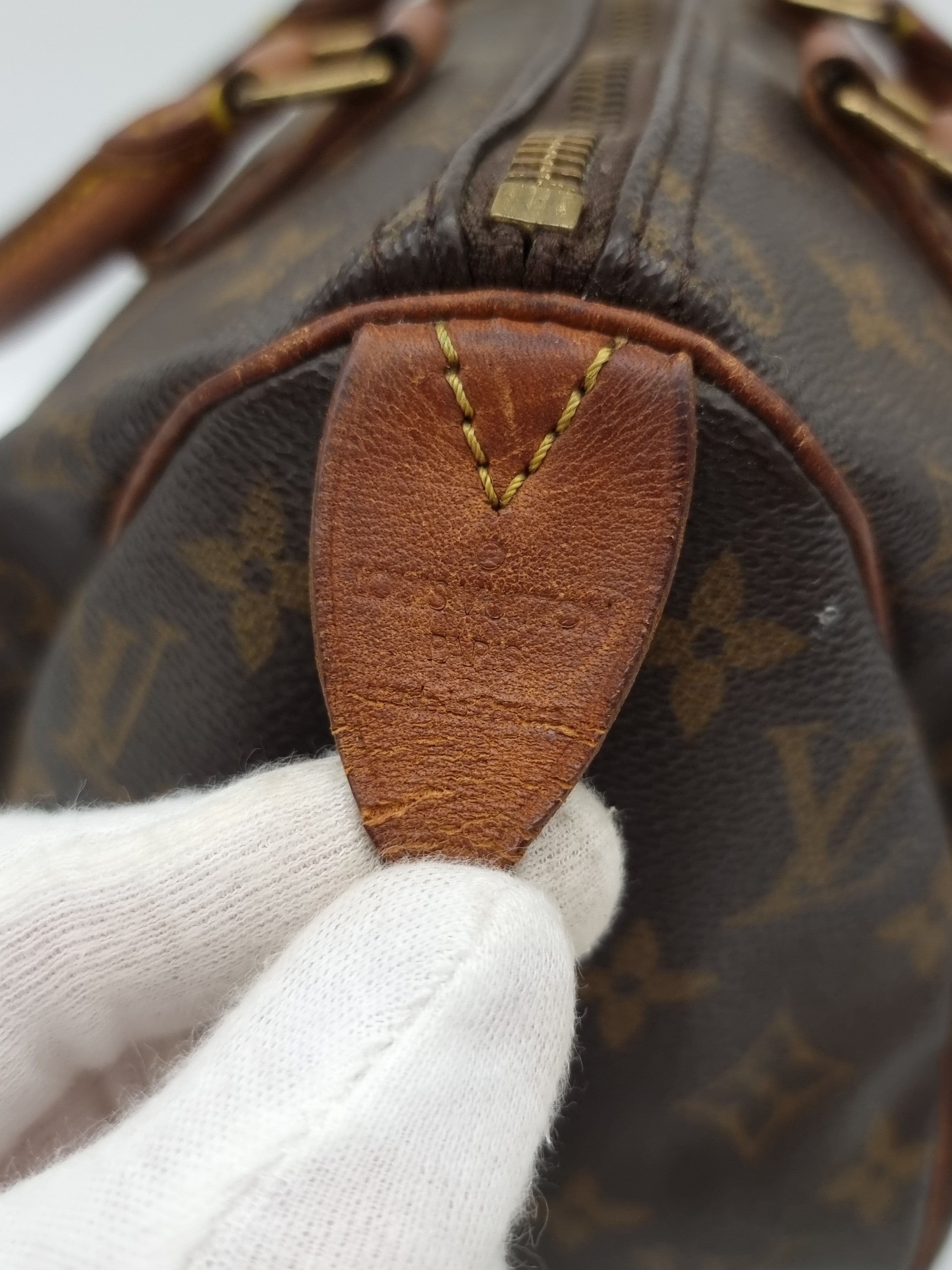 Louis Vuitton Speedy 25