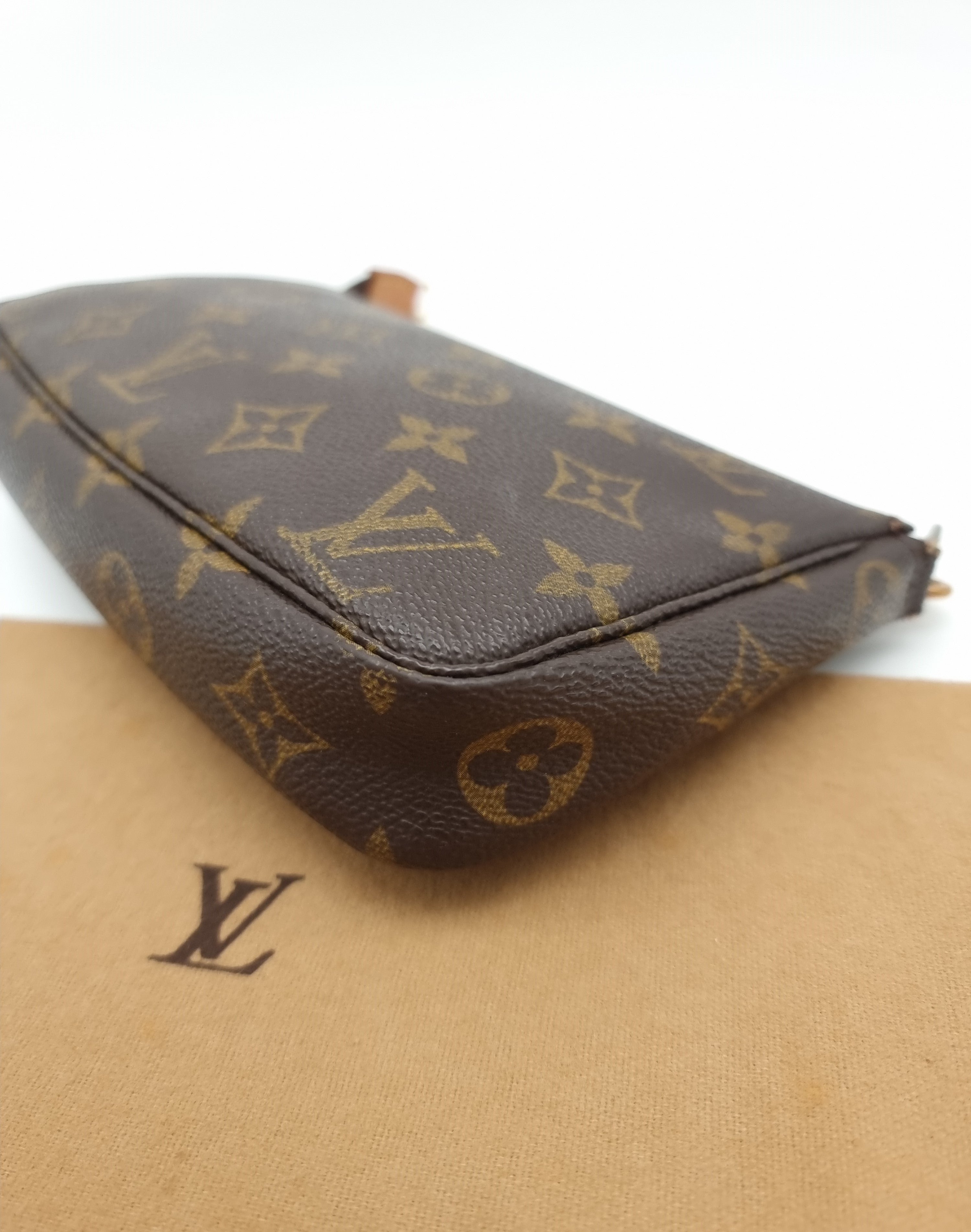 Louis Vuitton Pochette Accessoires