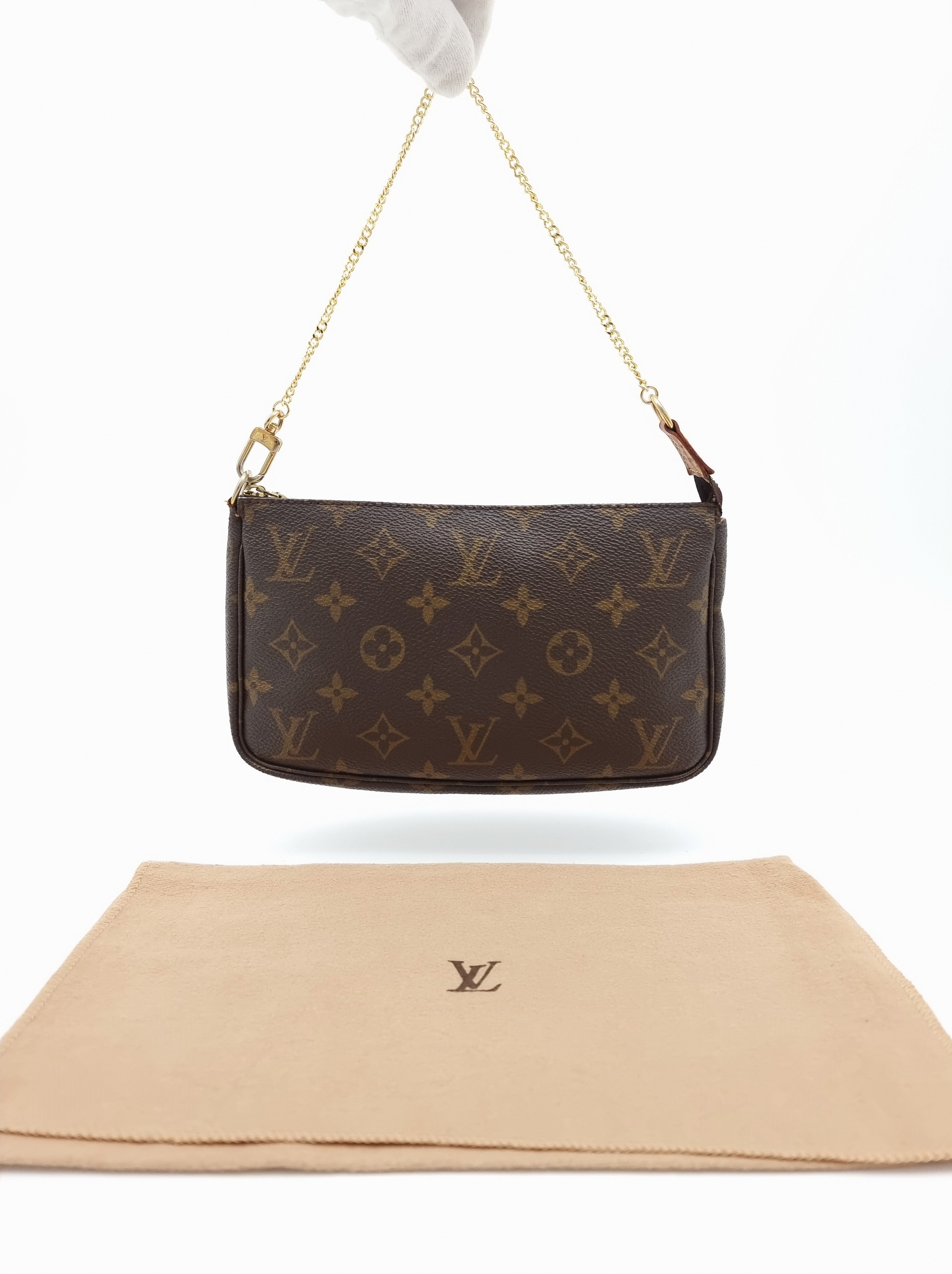 Louis Vuitton Pochette Accessoires