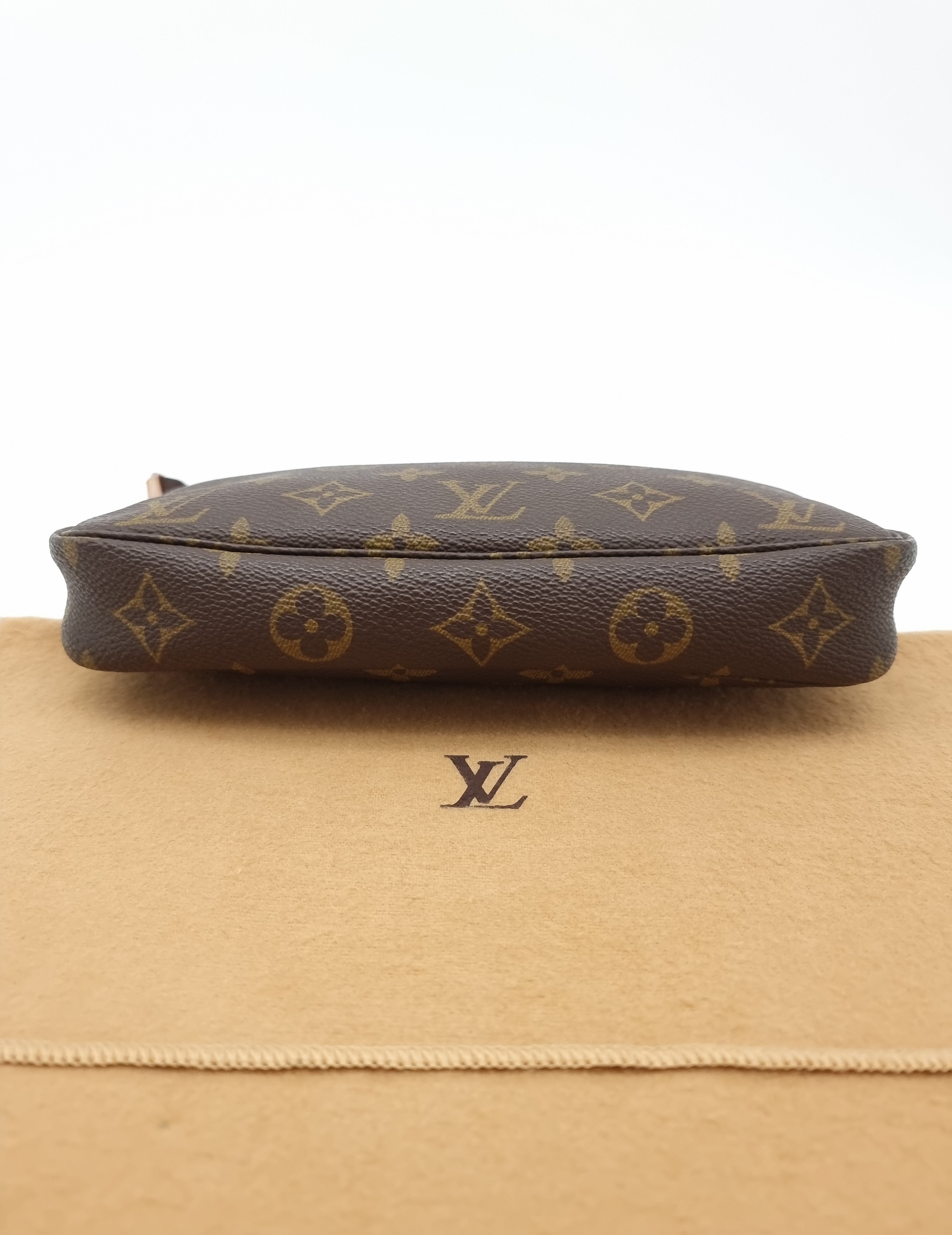 Louis Vuitton Pochette Accessoires