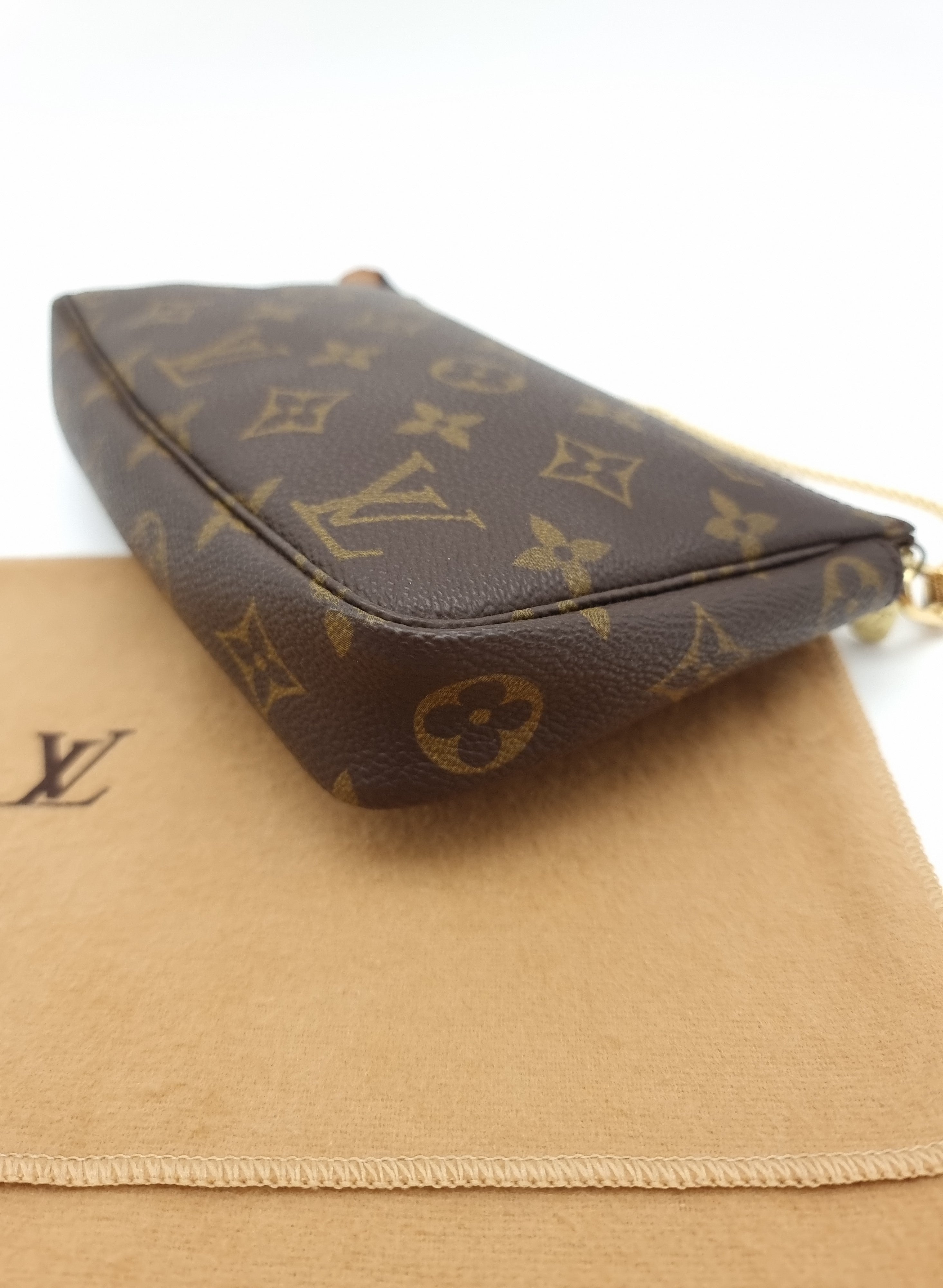 Louis Vuitton Pochette Accessoires