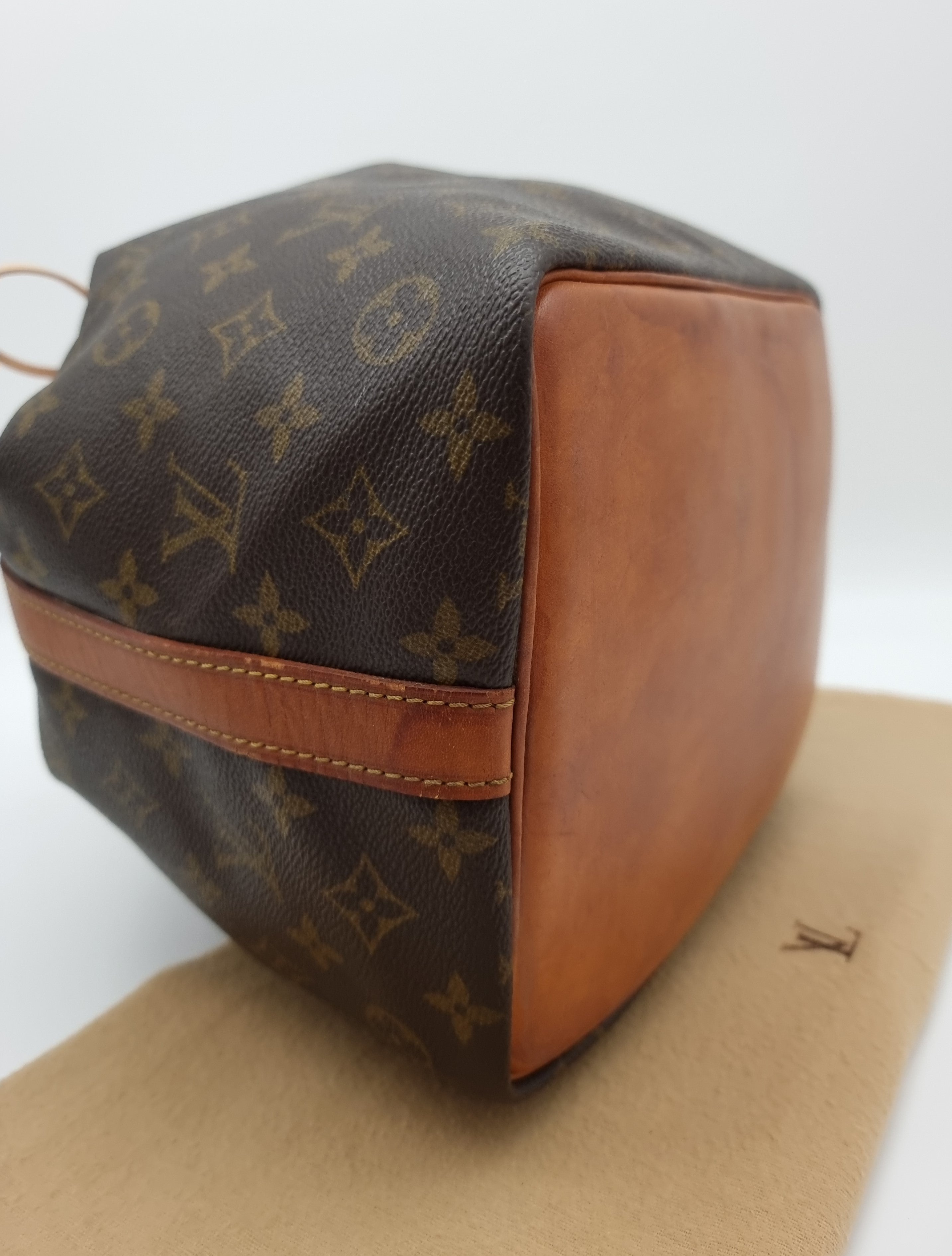 Louis Vuitton Petit Noe