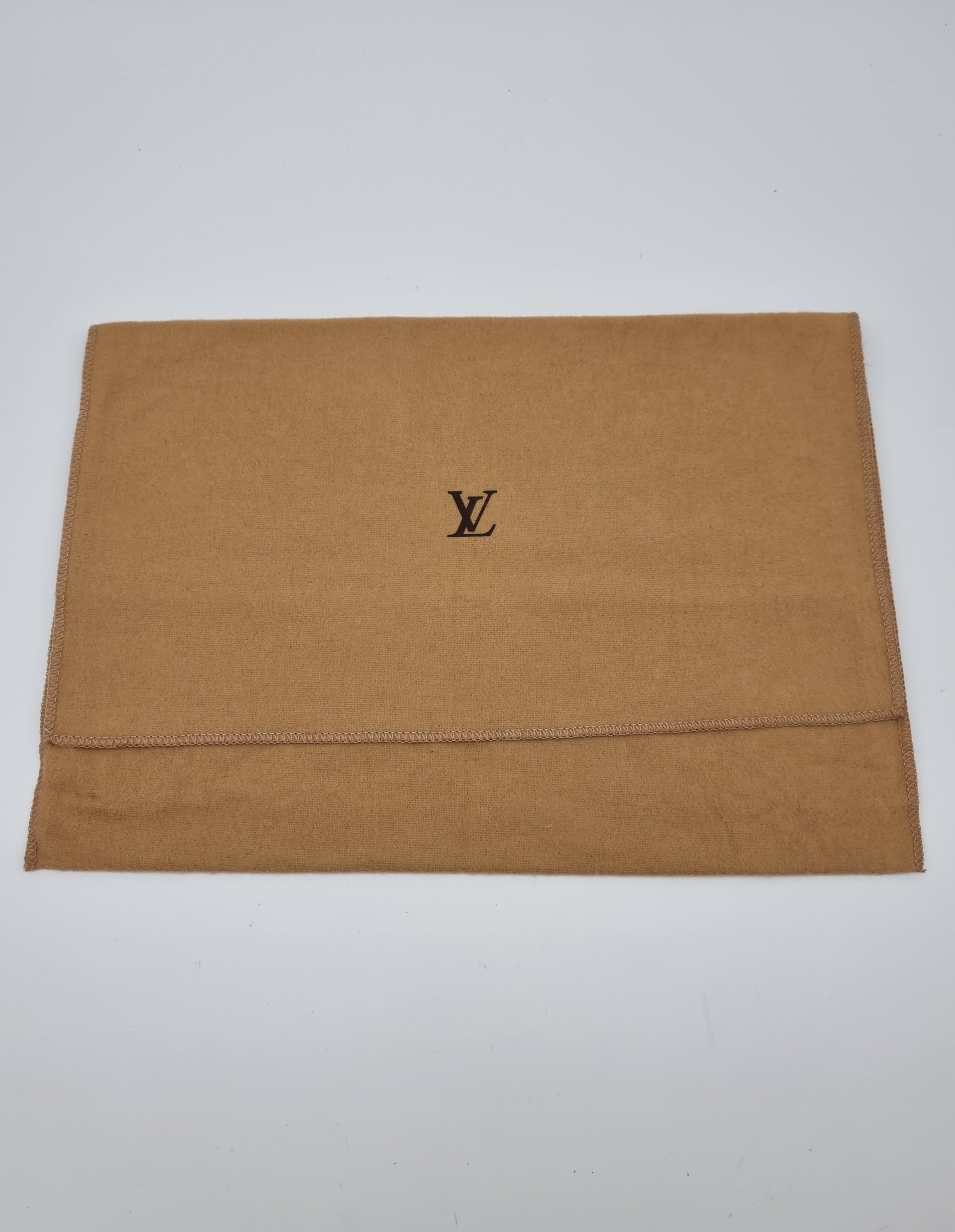 Louis Vuitton Pochette Accessoires