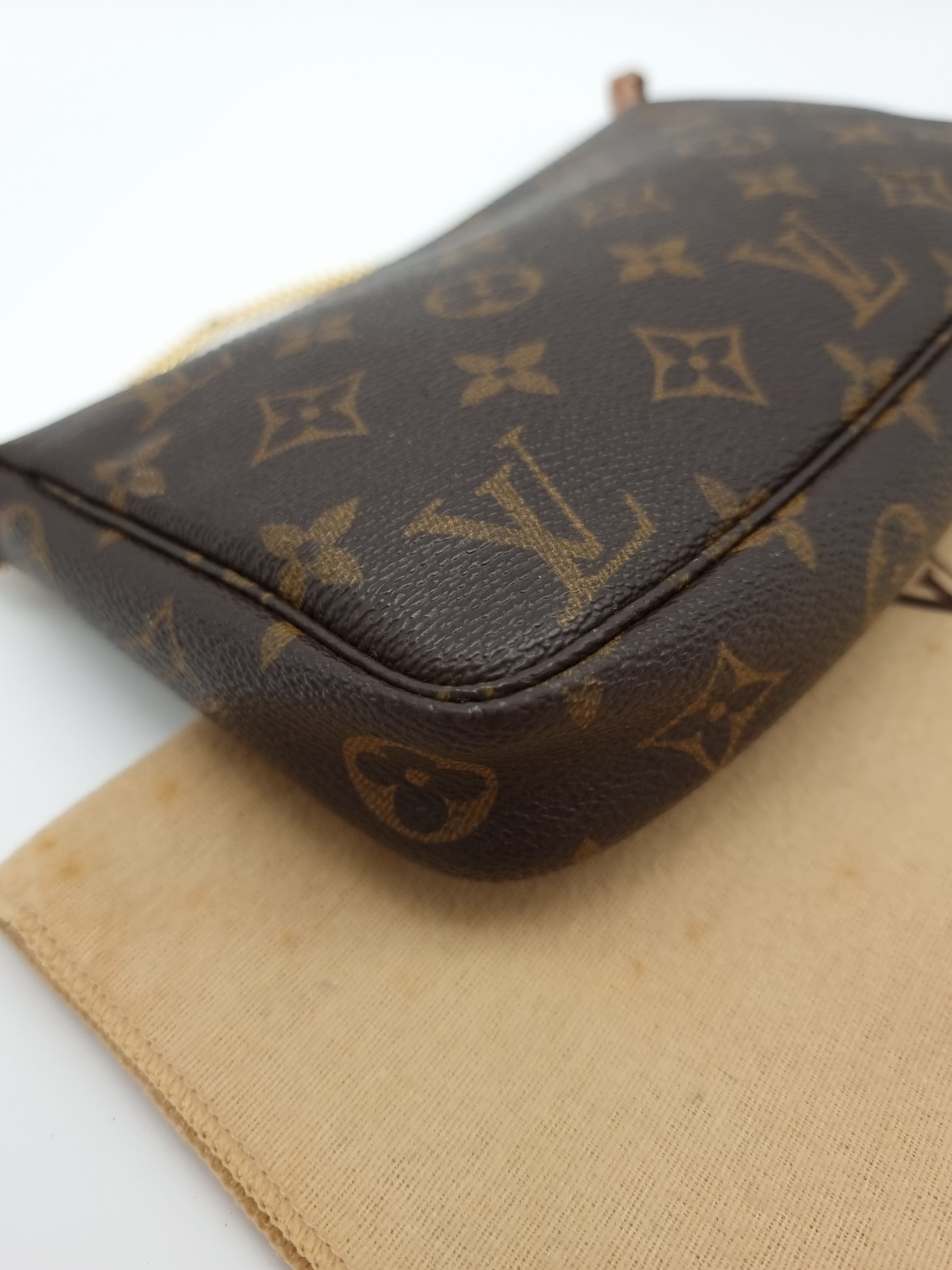 Louis Vuitton Pochette Accessoires