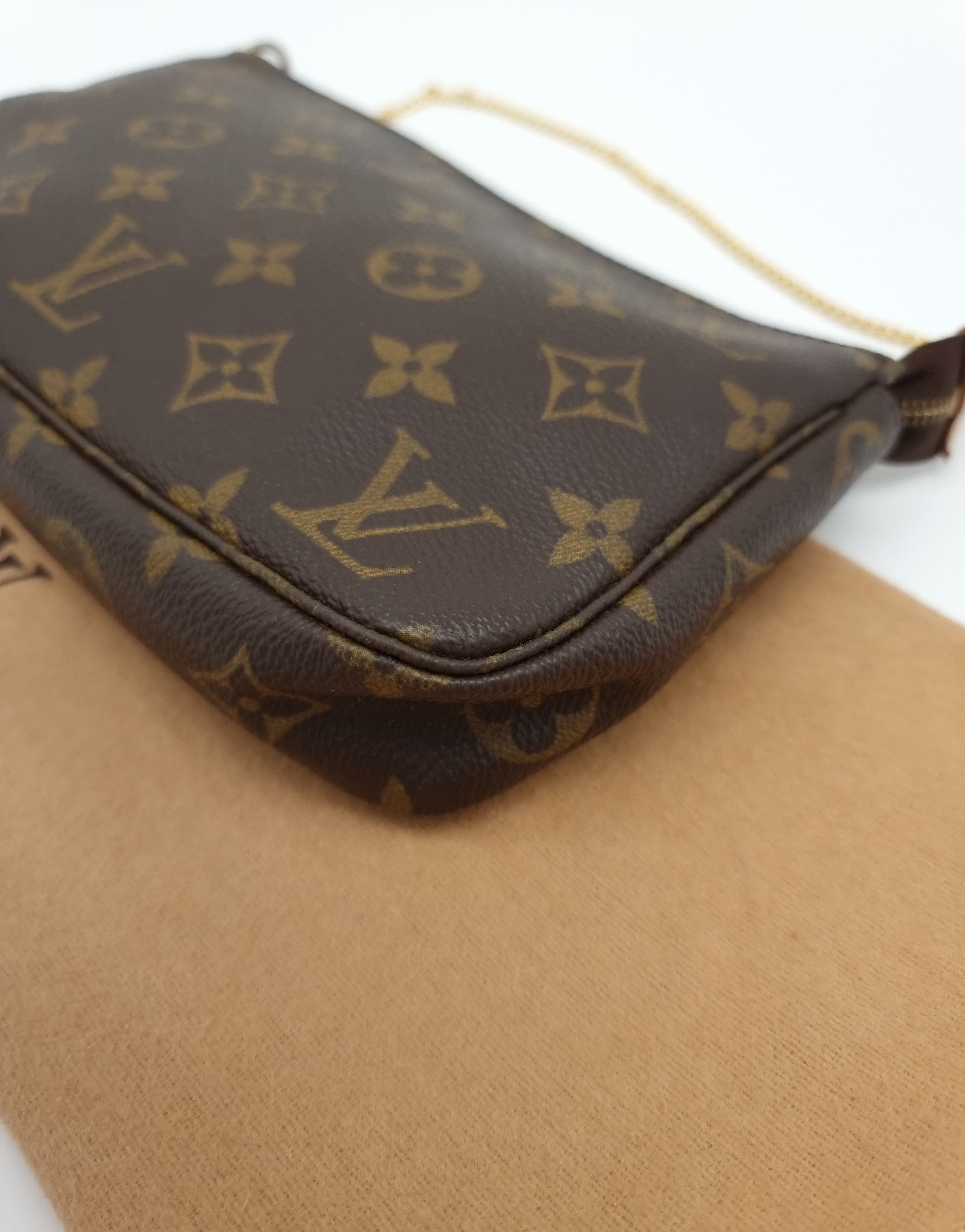 Louis Vuitton Pochette Accessoires