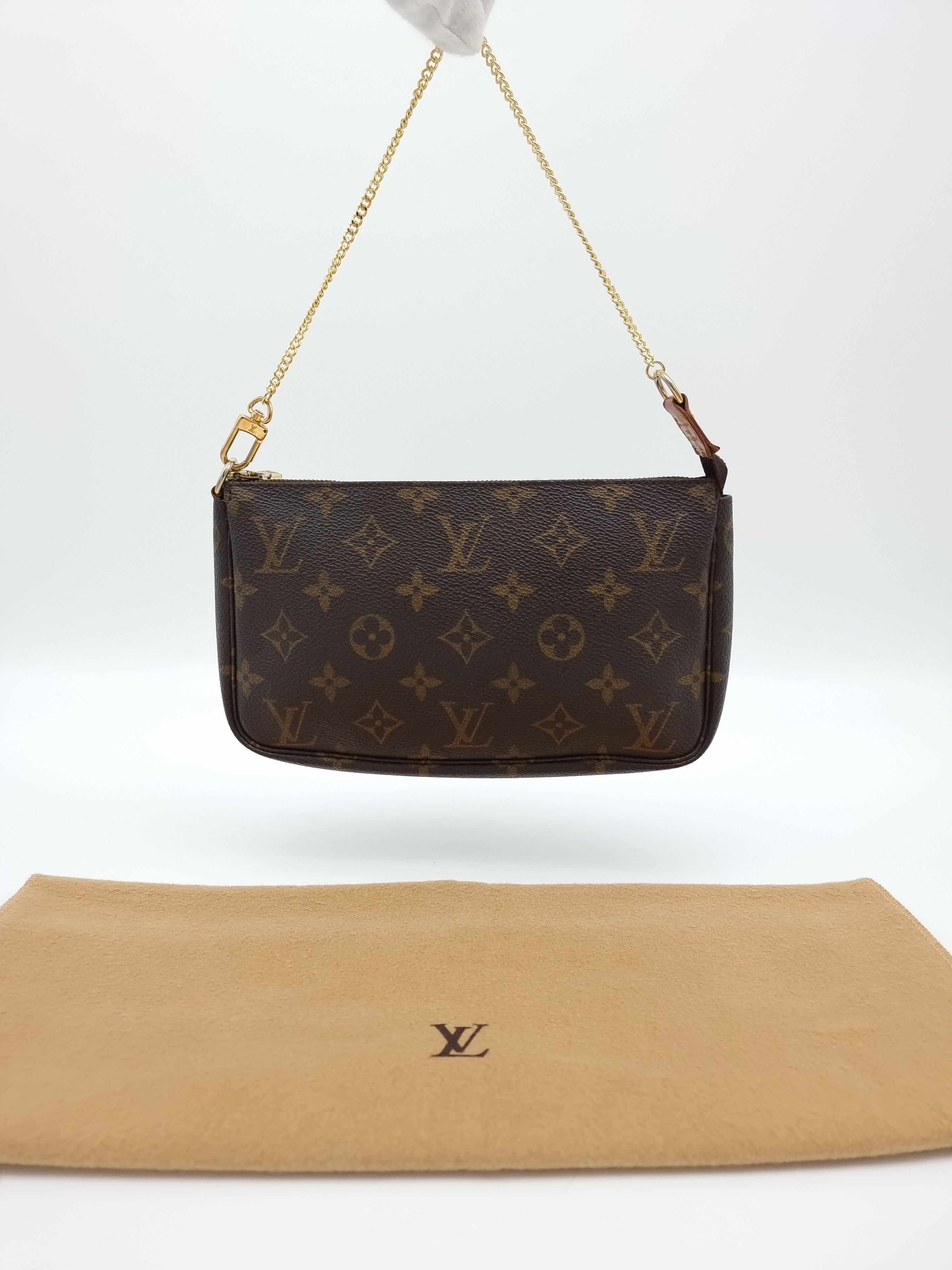 Louis Vuitton Pochette Accessoires