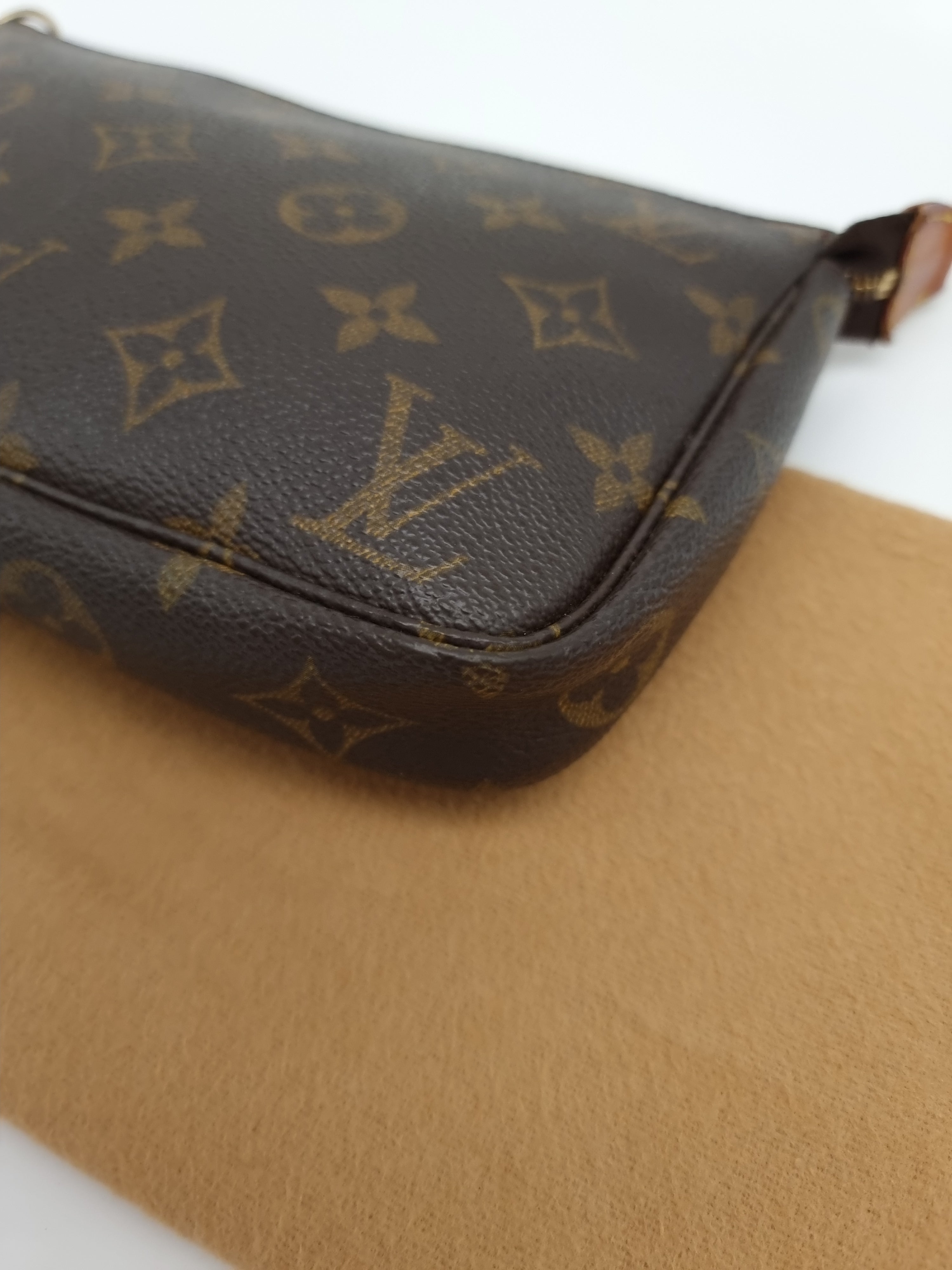 Louis Vuitton Pochette Accessoires