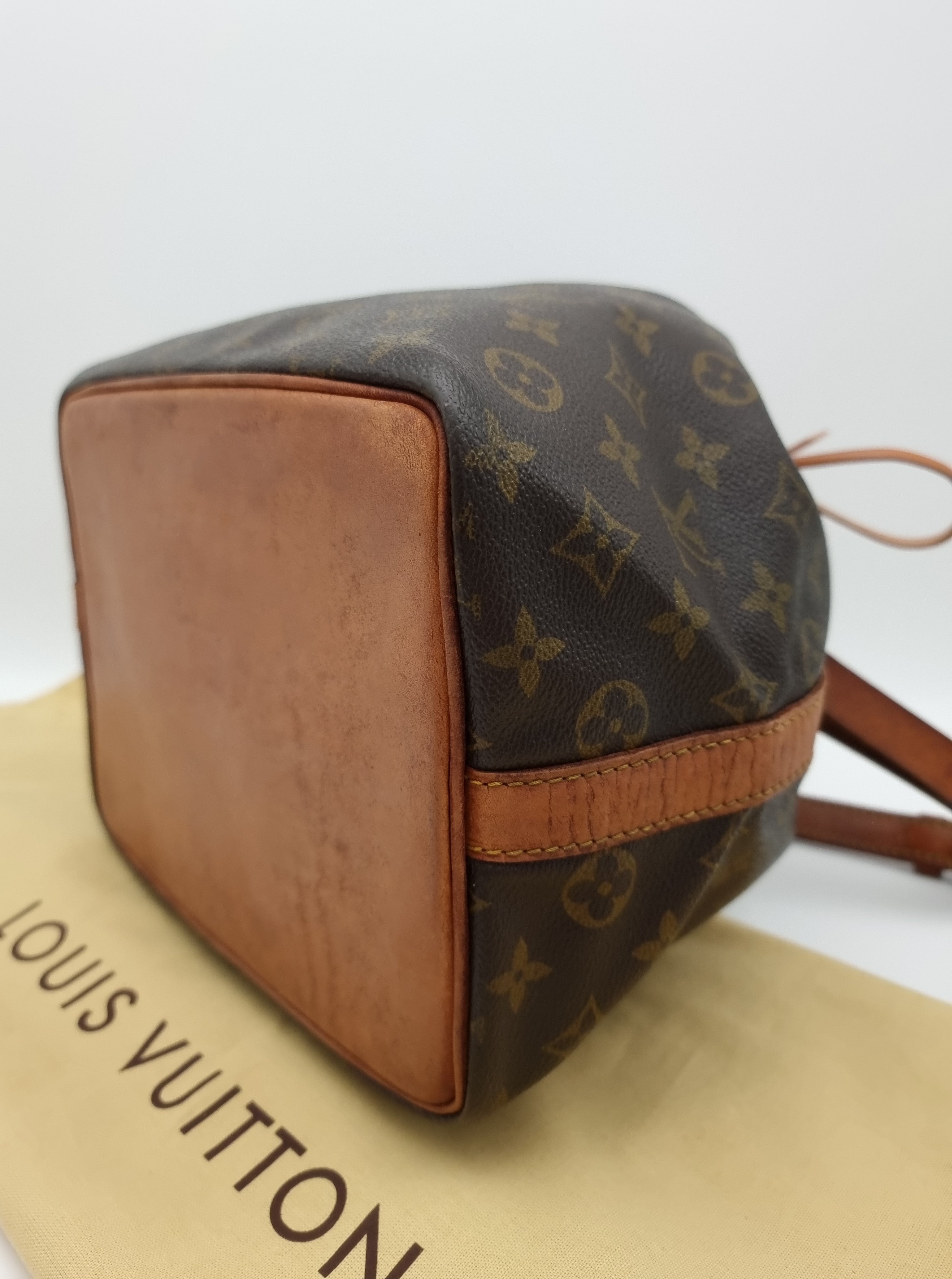 Louis Vuitton Petit Noe