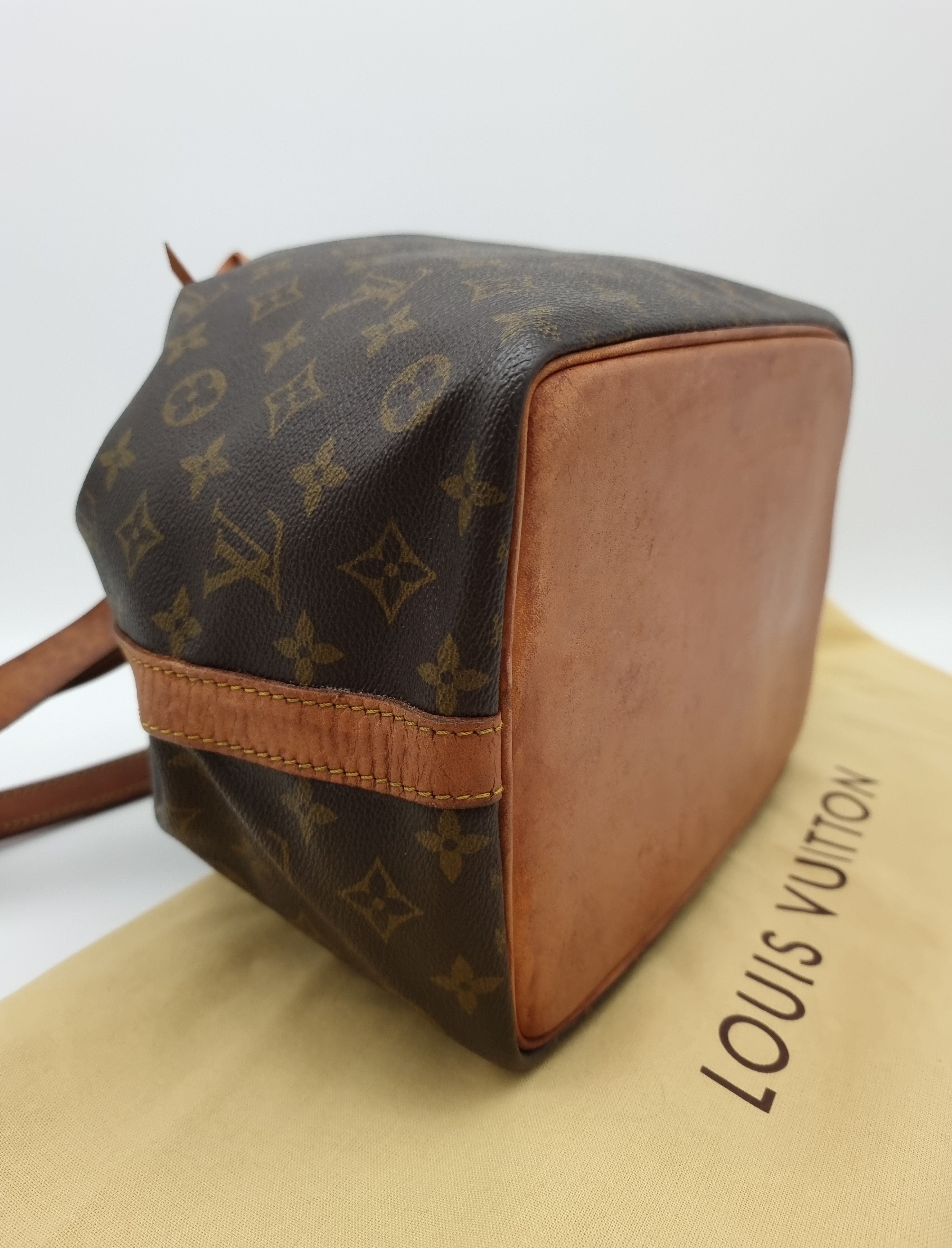 Louis Vuitton Petit Noe