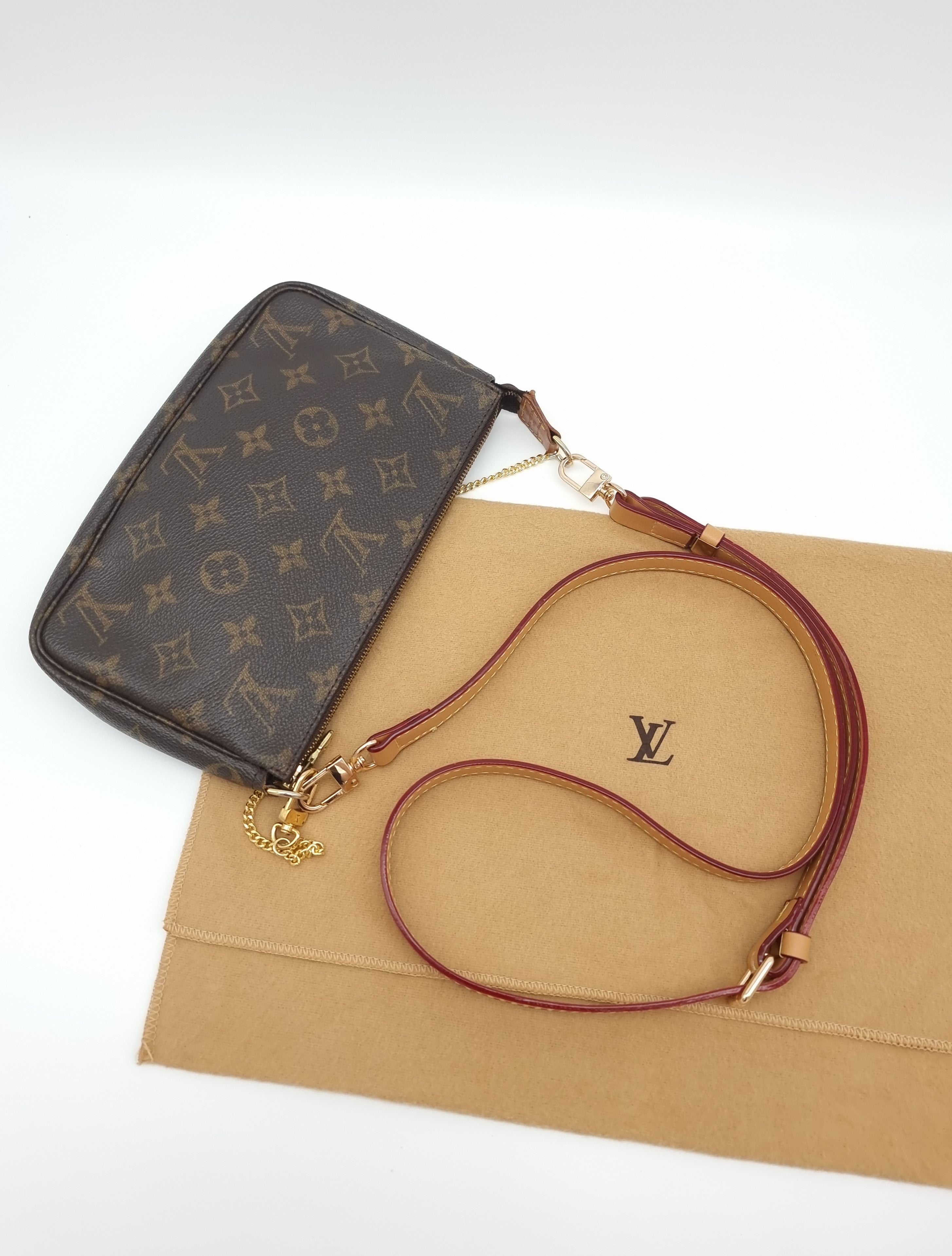 Louis Vuitton Pochette Accessoires