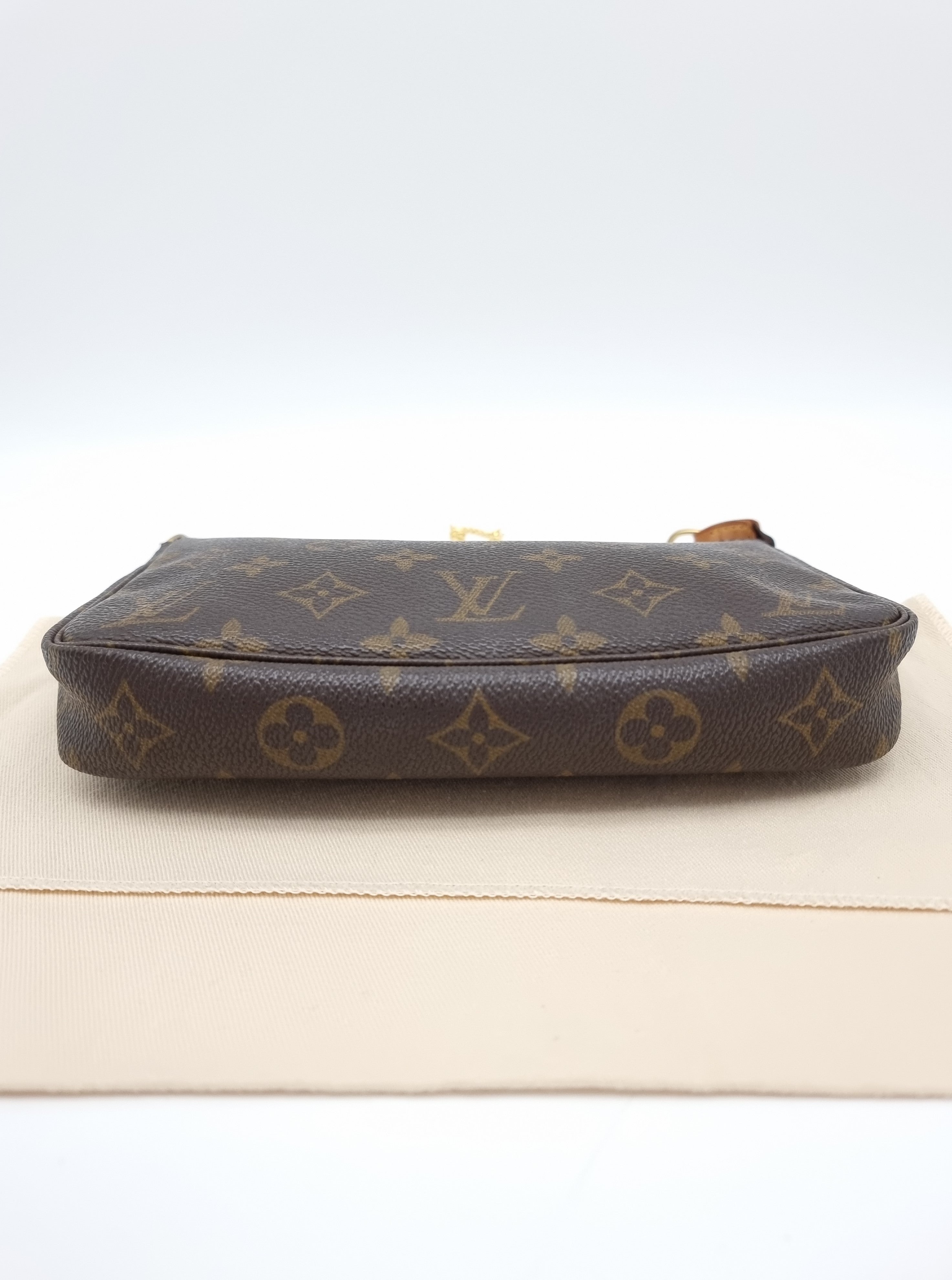 Louis Vuitton Pochette Accessoires