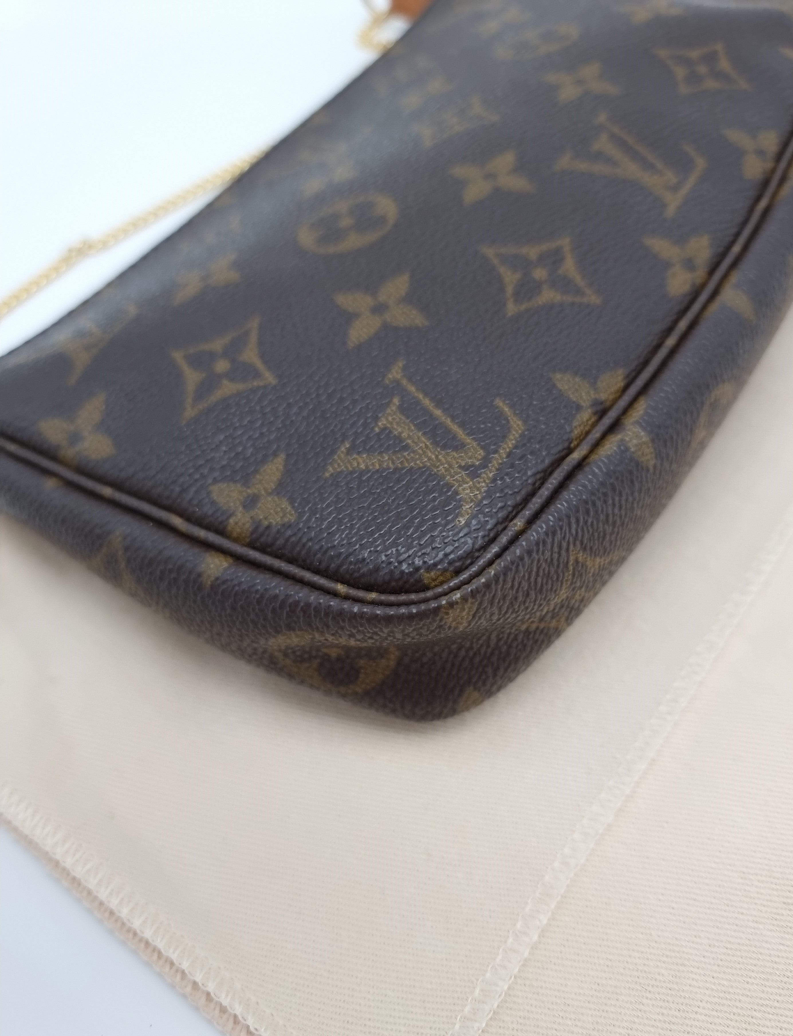 Louis Vuitton Pochette Accessoires