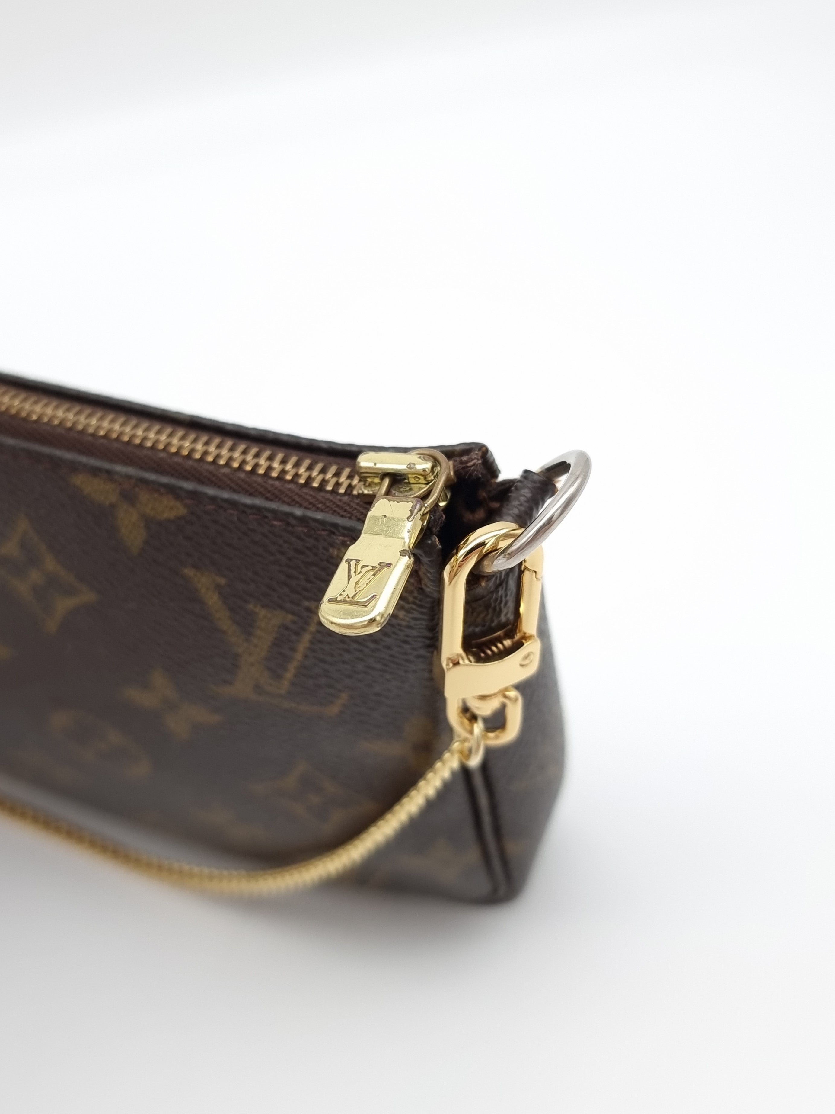 Louis Vuitton Pochette Accessoires