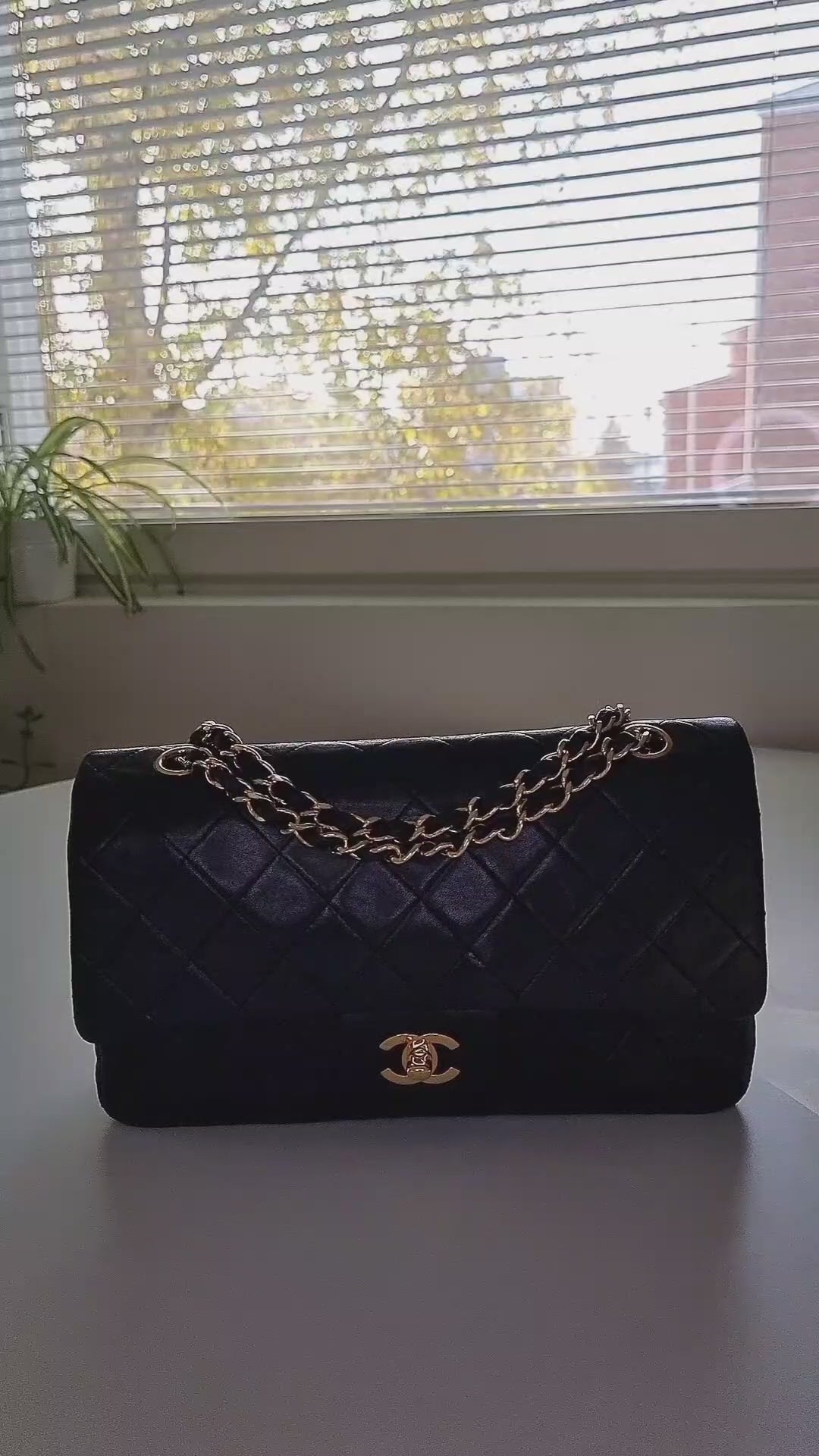 Chanel Double Flap 25 Quilted Lambskin